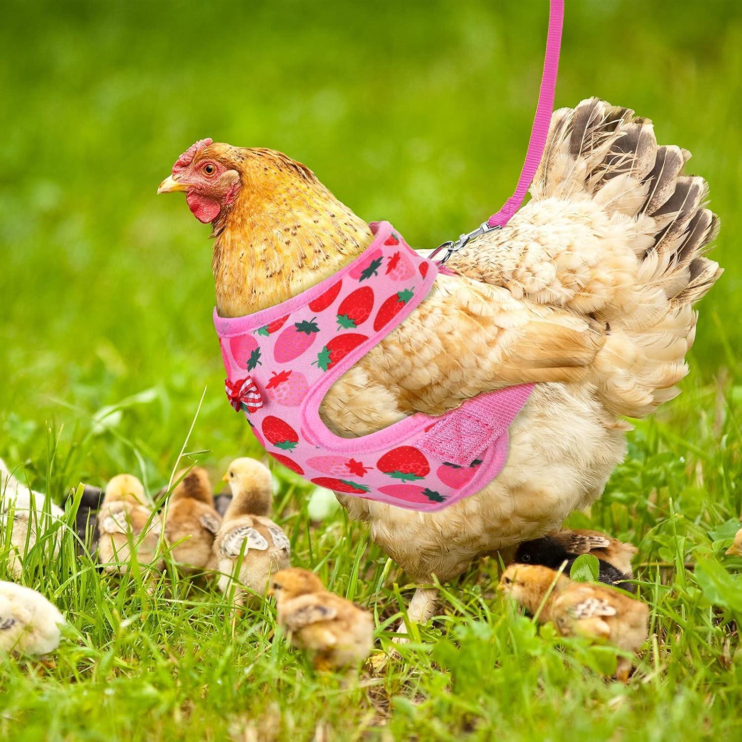 Conjunto Arnés y Correa Ajustable Frienda para Gallinas Mediano