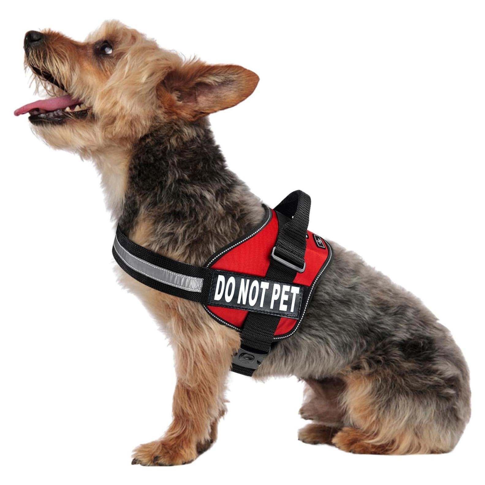 Arnés para Perros Doggie Stylz Rojo Ajustable 30-40 cm