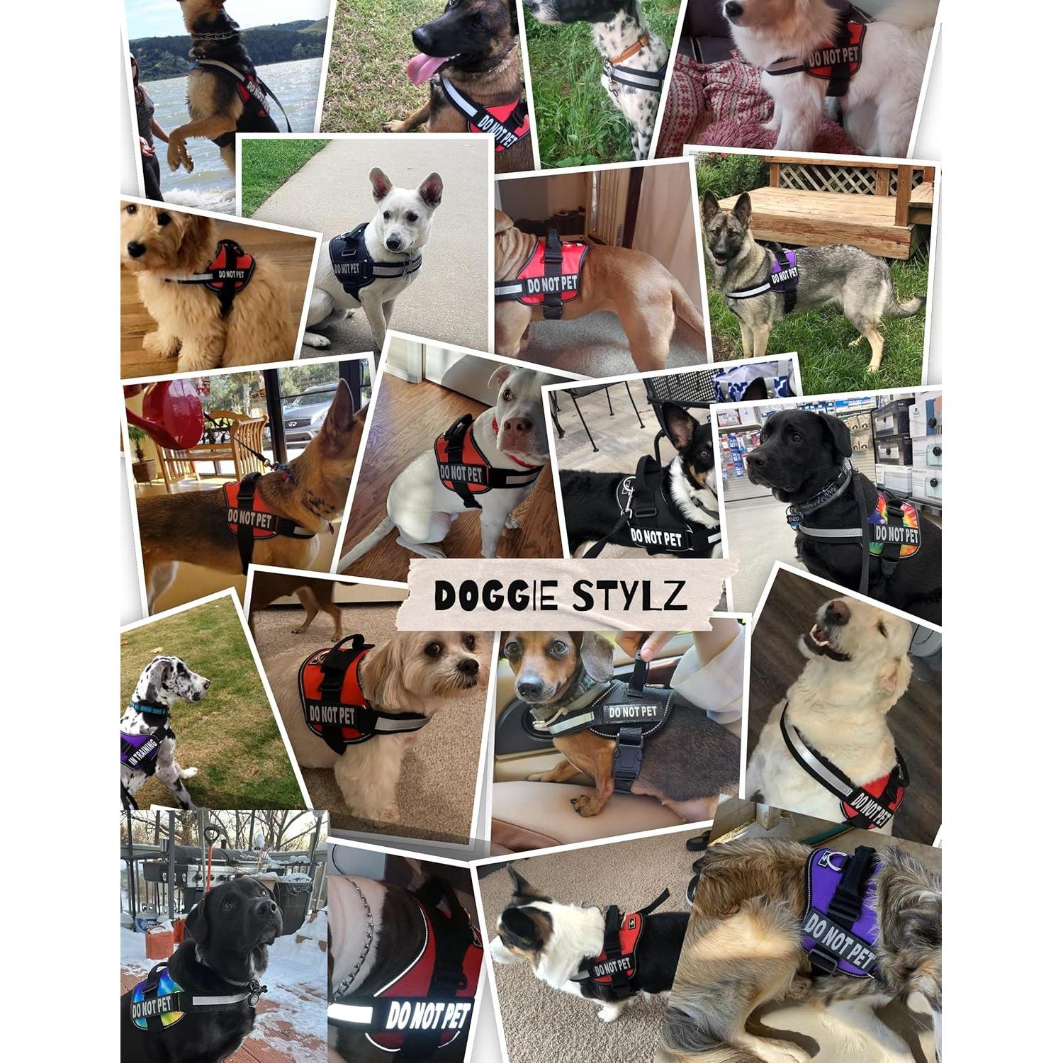 Arnés para Perros Doggie Stylz Rojo Ajustable 30-40 cm