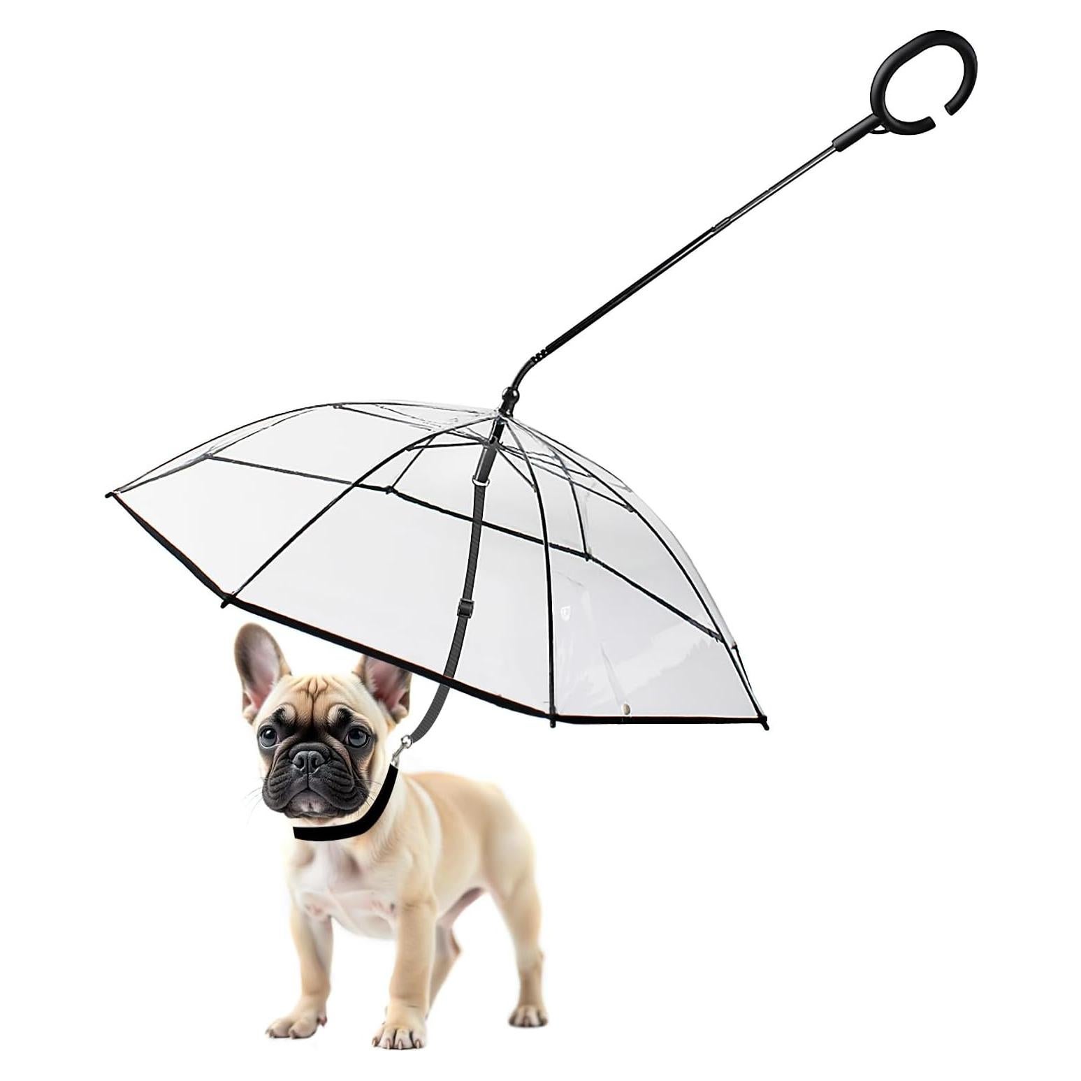 Paraguas Transparente para Perros Pequeños Namsan 73.66 cm