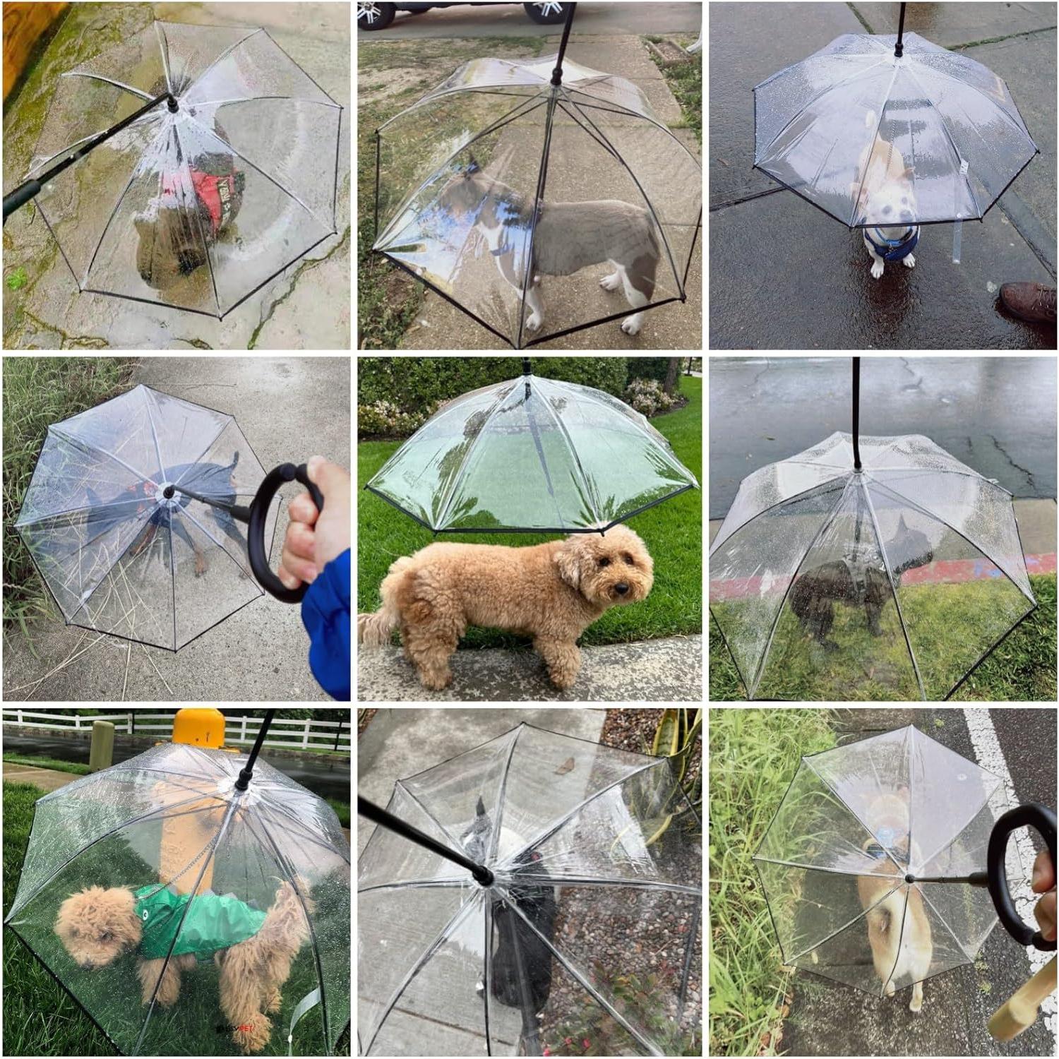 Paraguas Transparente para Perros Pequeños Namsan 73.66 cm