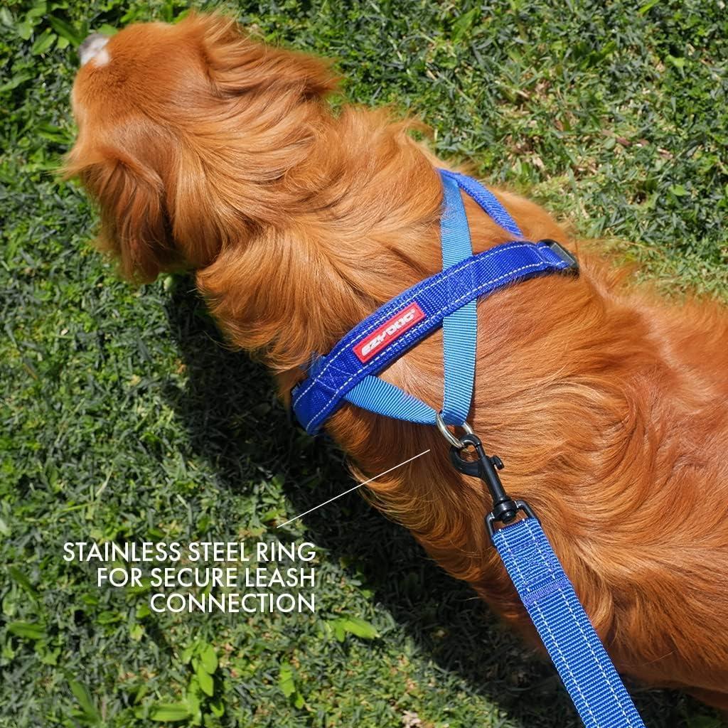 Arnés para Perros EzyDog Quick Fit Mediano Azul - Sin Tirones, Ajustable y Reflectante