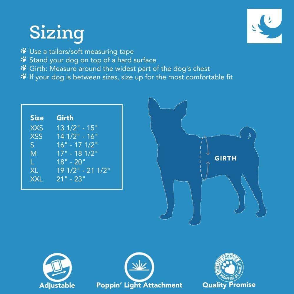 Arnés Cirque RC Pets para Perros Pequeños - Malla Transpirable, X-Large