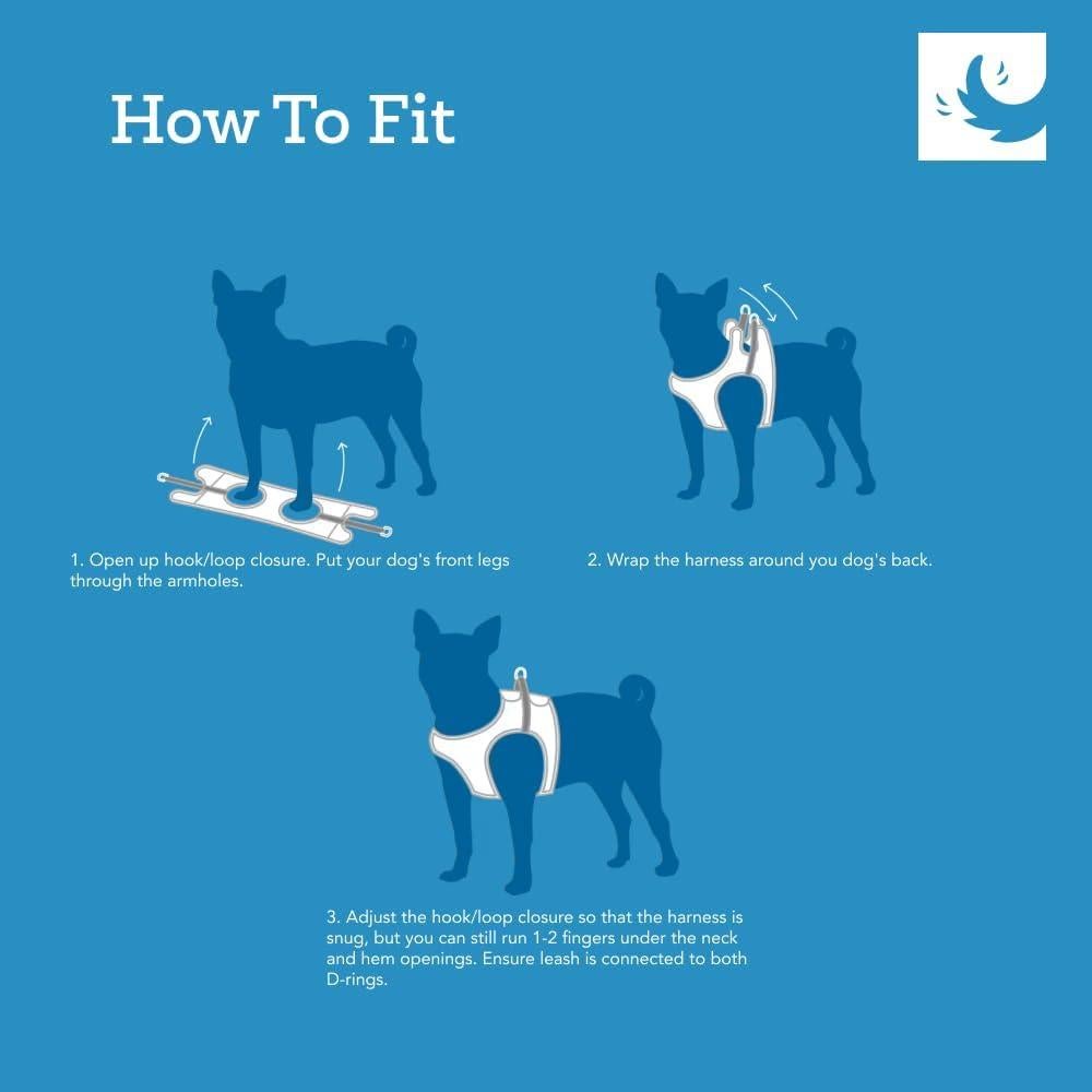 Arnés Cirque RC Pets para Perros Pequeños - Malla Transpirable, X-Large