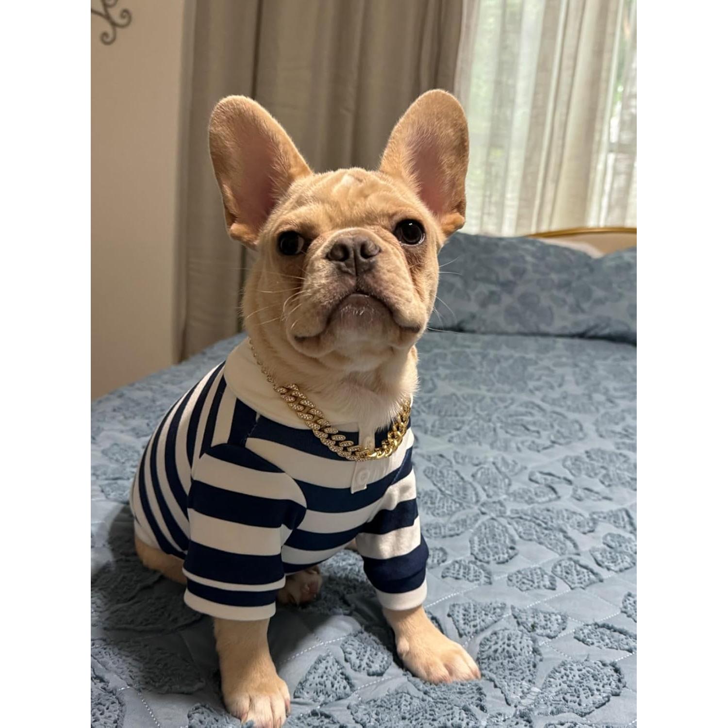 Collar de Cadena para Perros Bbmmayy 50.8 cm Oro con Cristales