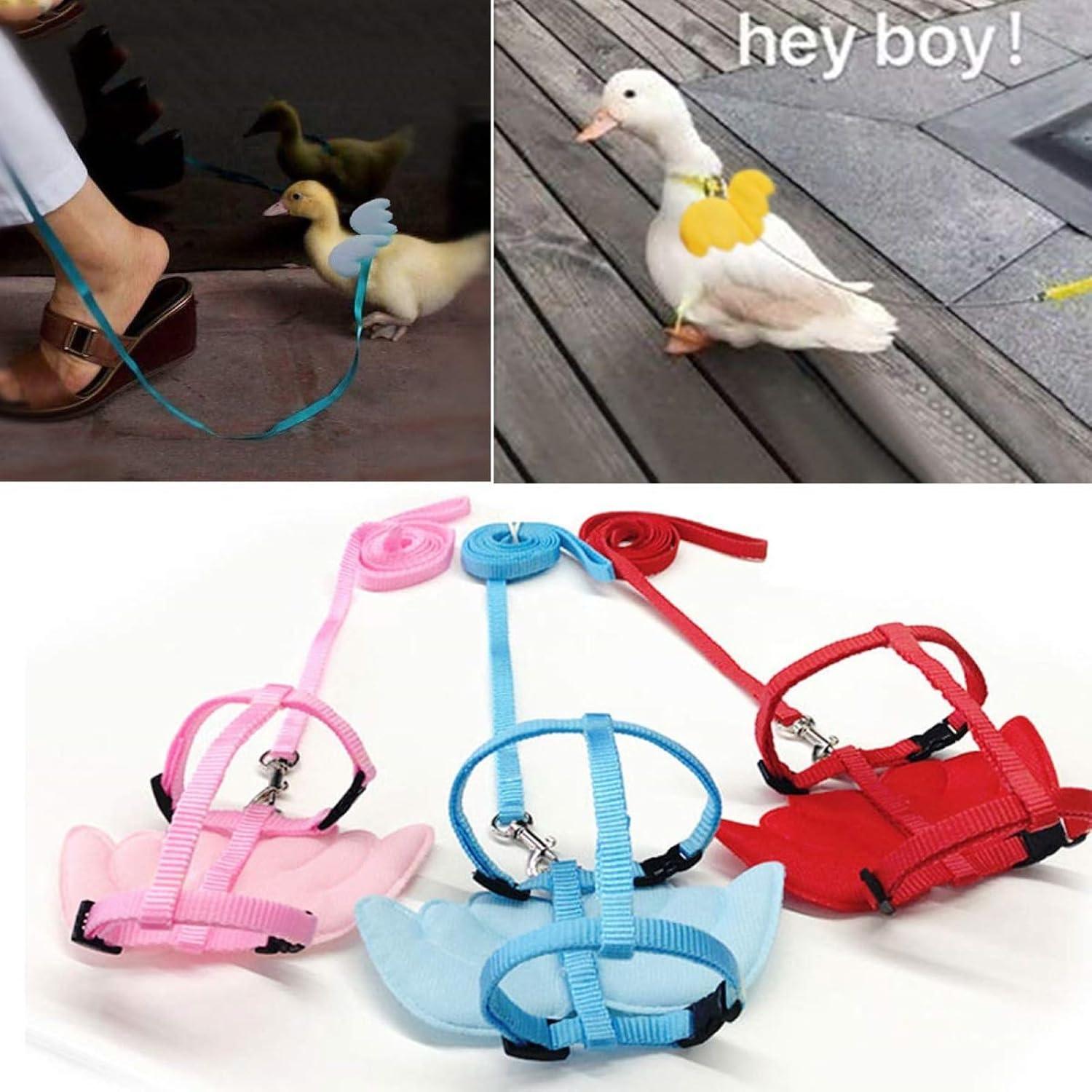 Arnés y Correa Ajustable para Pasear Patos QBLEEV - Rosa