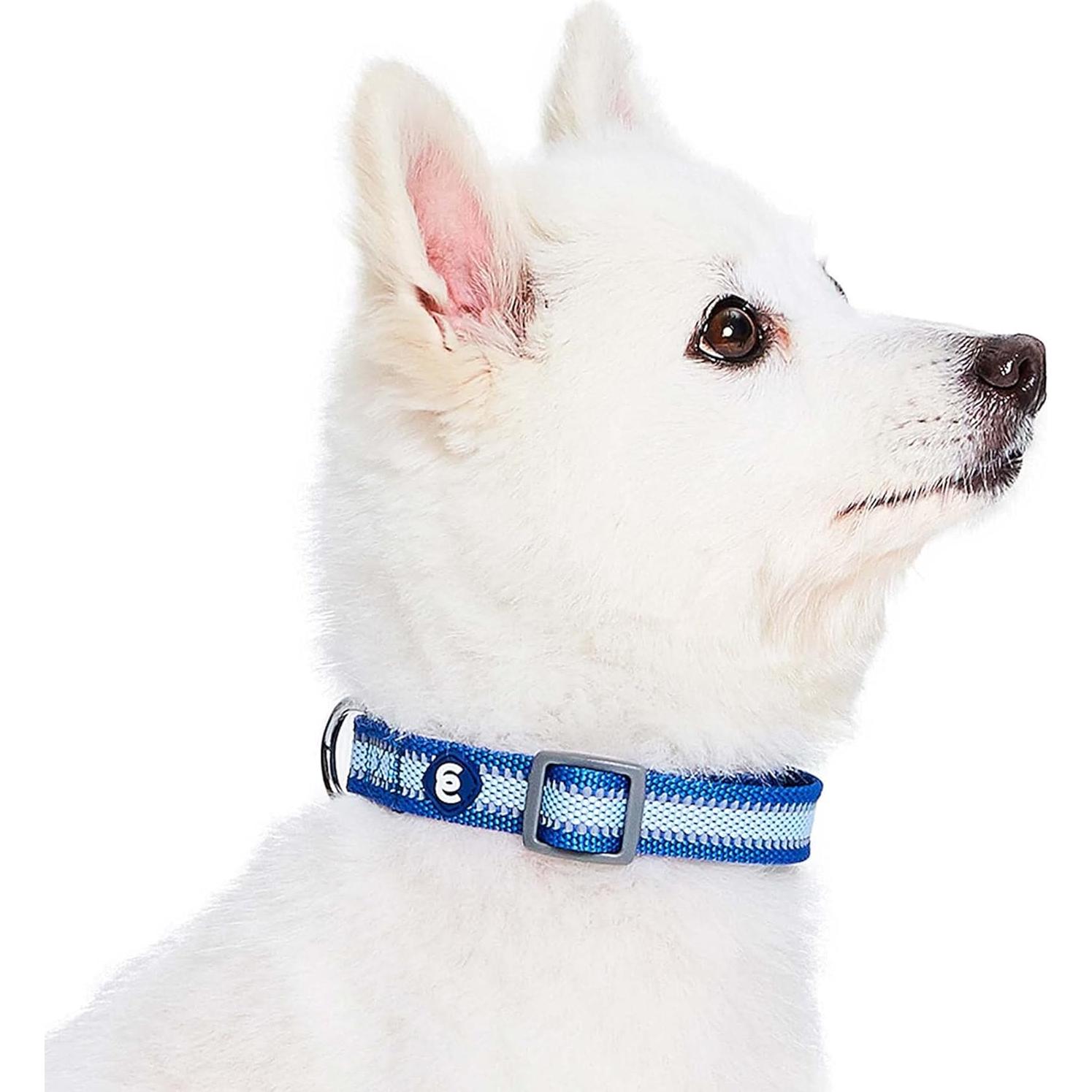 Collar Reflectante para Perros Pequeños Blueberry Pet Azul Marino