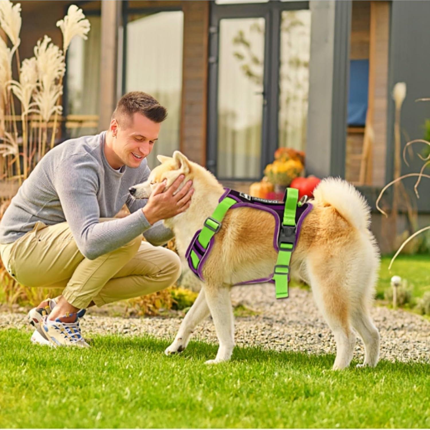 Arnés para Perros Grandes YIMOCHEN Ajustable Reflectante L