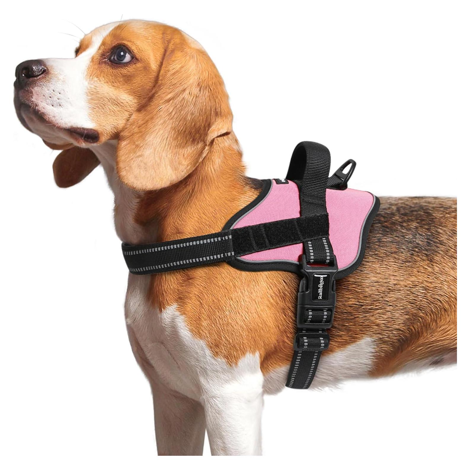 Arnés para Perros Rabbitgoo Mediano Rosa Ajustable Reflectante