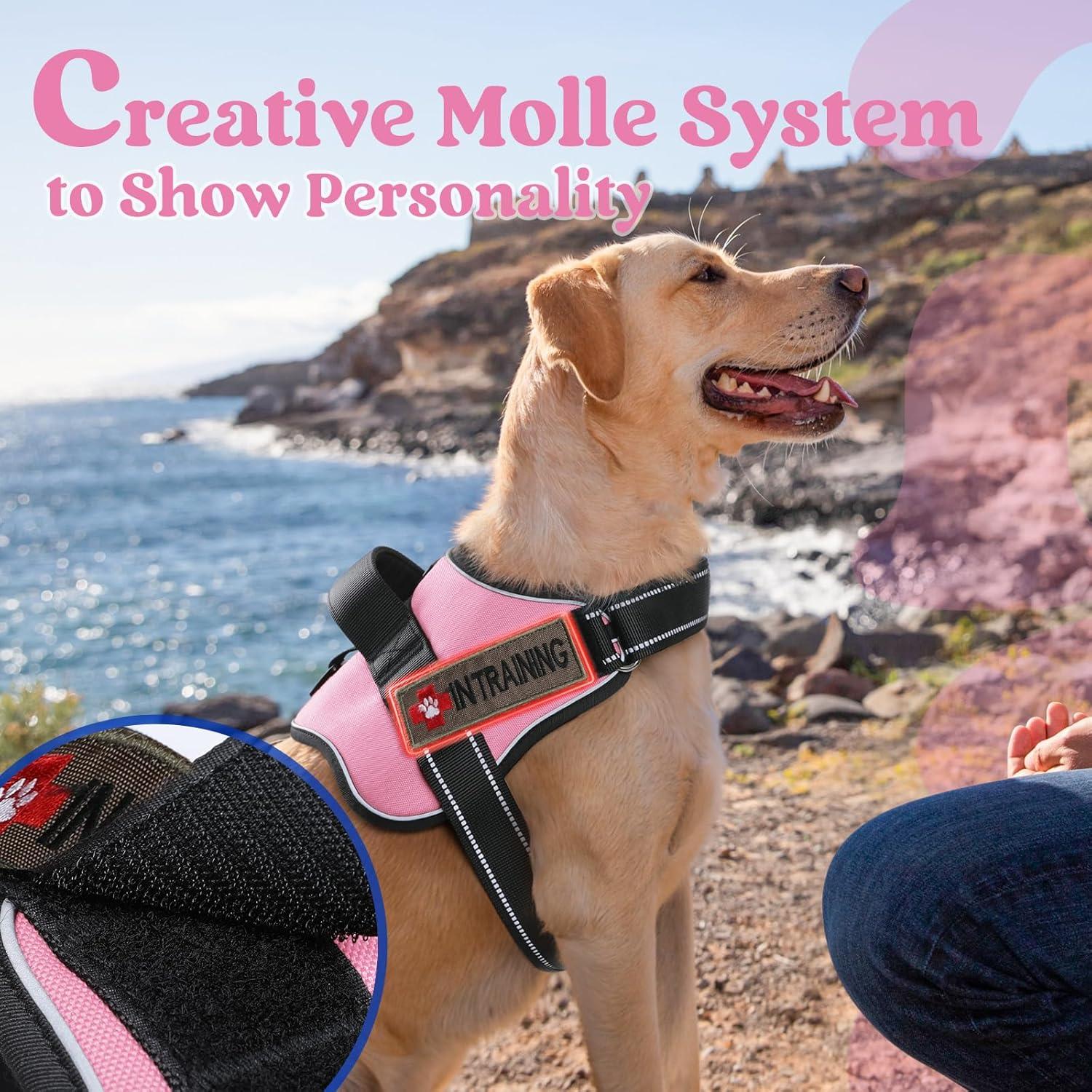 Arnés para Perros Rabbitgoo Mediano Rosa Ajustable Reflectante