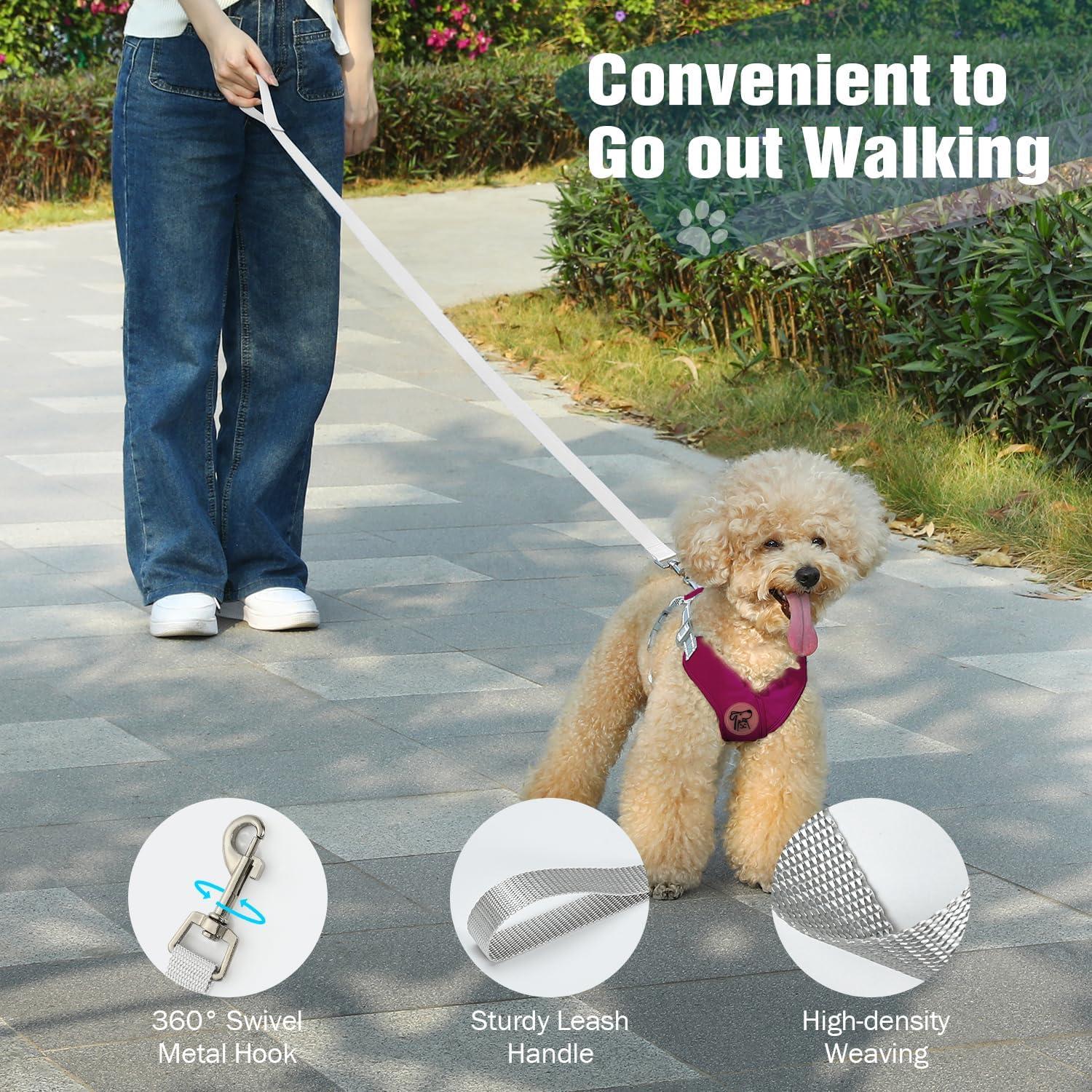 Conjunto Arnés y Correa Pawaboo para Perros Pequeños S Magenta