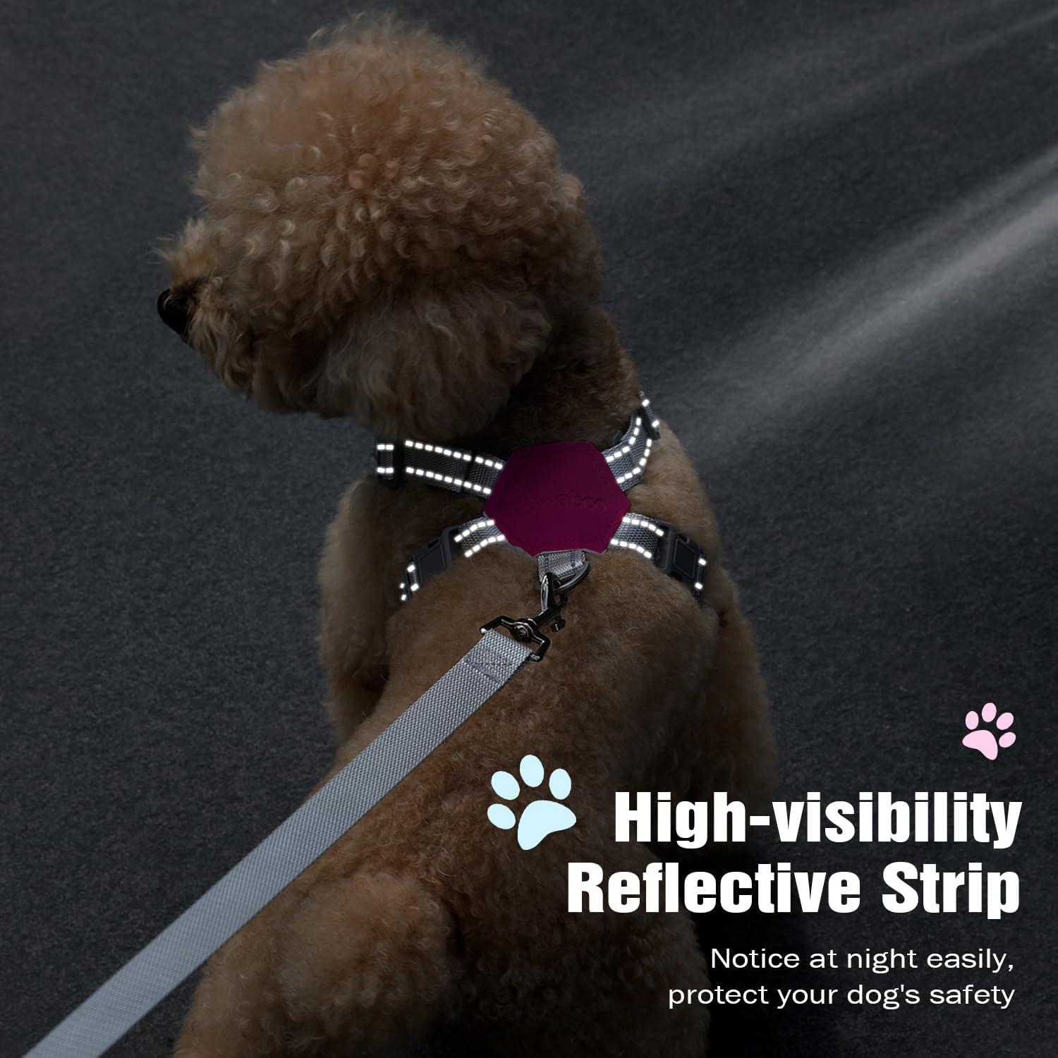 Conjunto Arnés y Correa Pawaboo para Perros Pequeños S Magenta