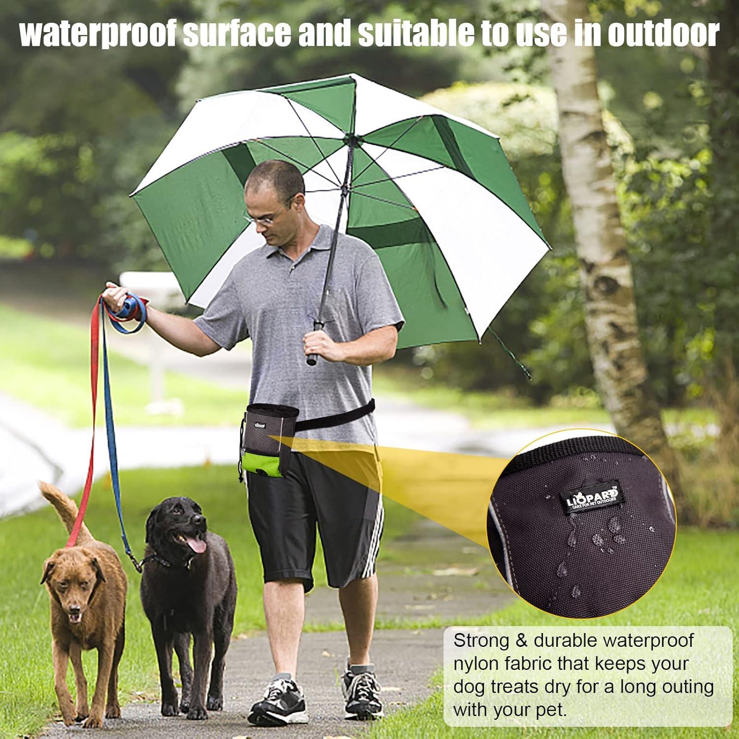 Bolsa de Golosinas para Perros LIOPARD Verde 2 Tazas