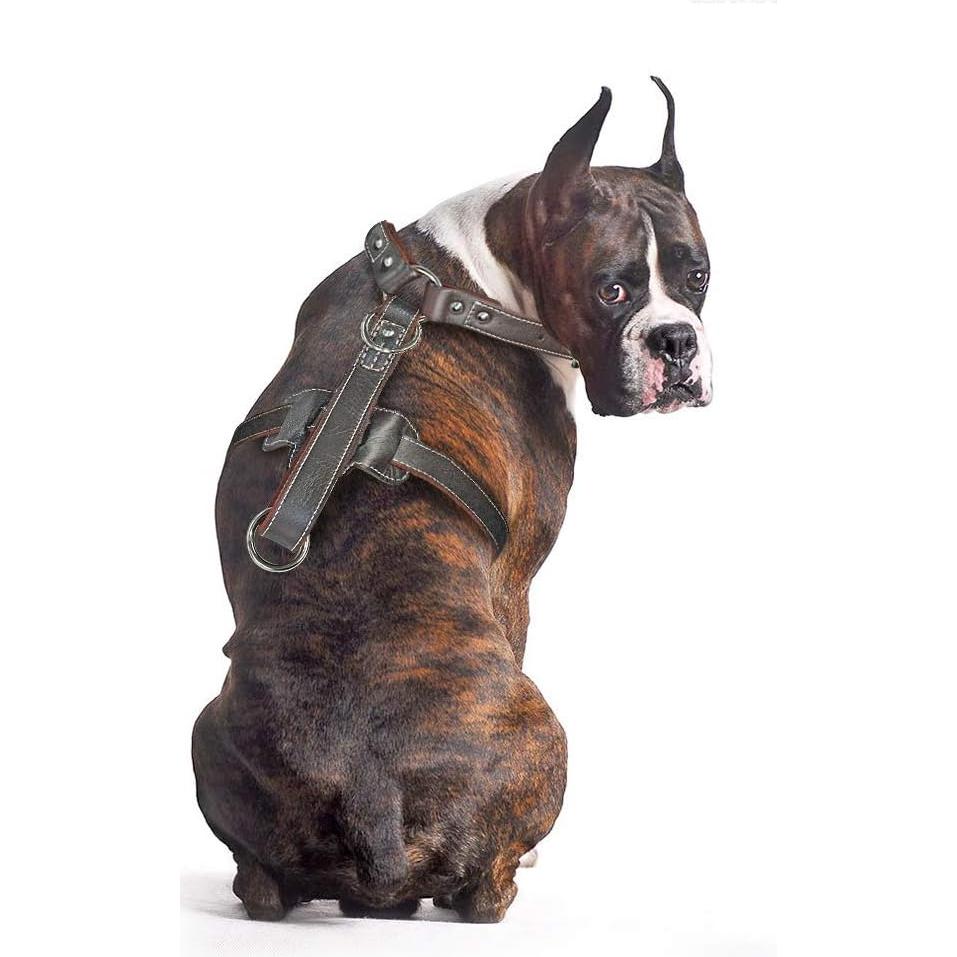 Arnés de Cuero Happierpet 2XL Ajustable para Perros Grandes