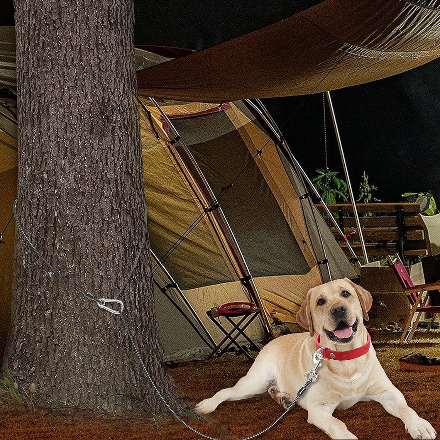 Correa para Perro PAWNISAW 1.52m Resistente a Mordeduras