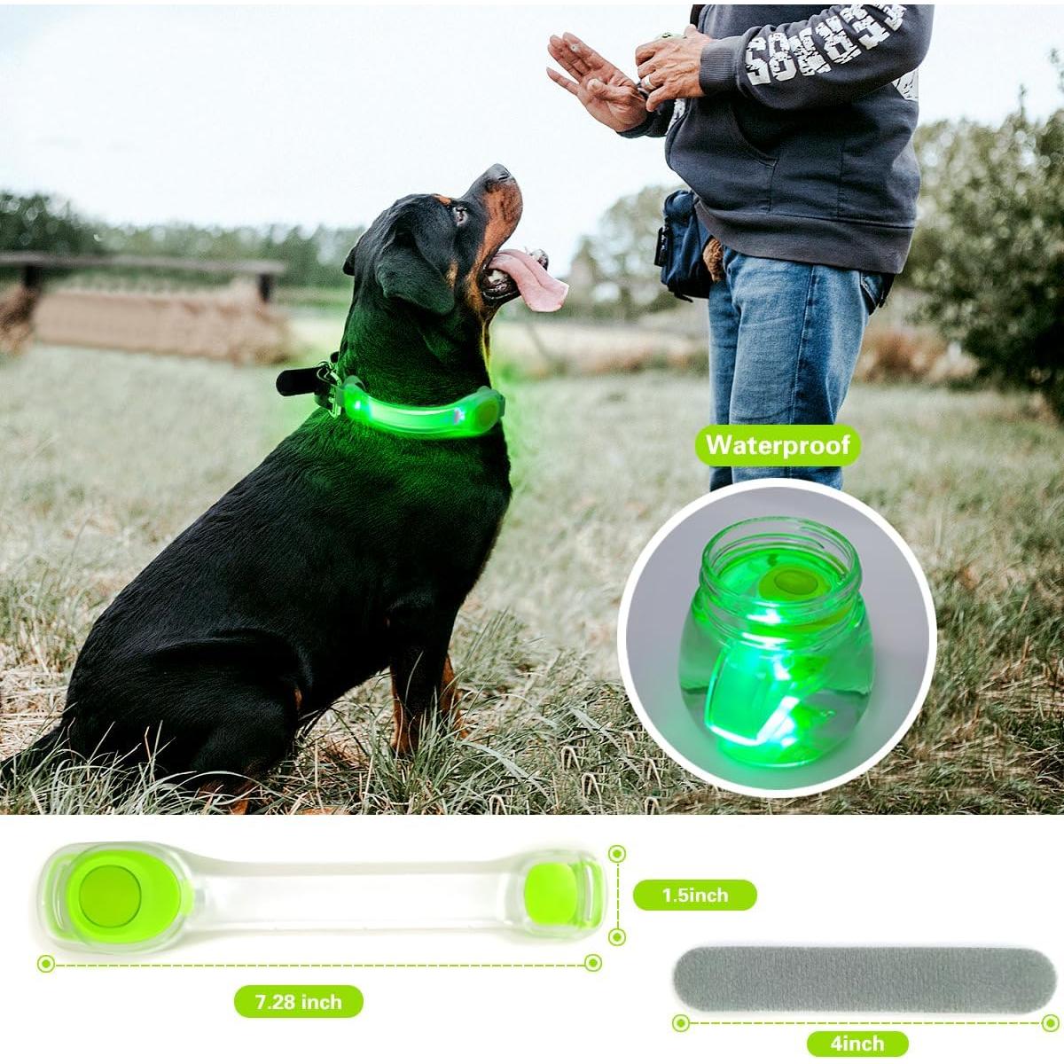 Paquete de 2 luces LED para collar de perro Fashion&cool