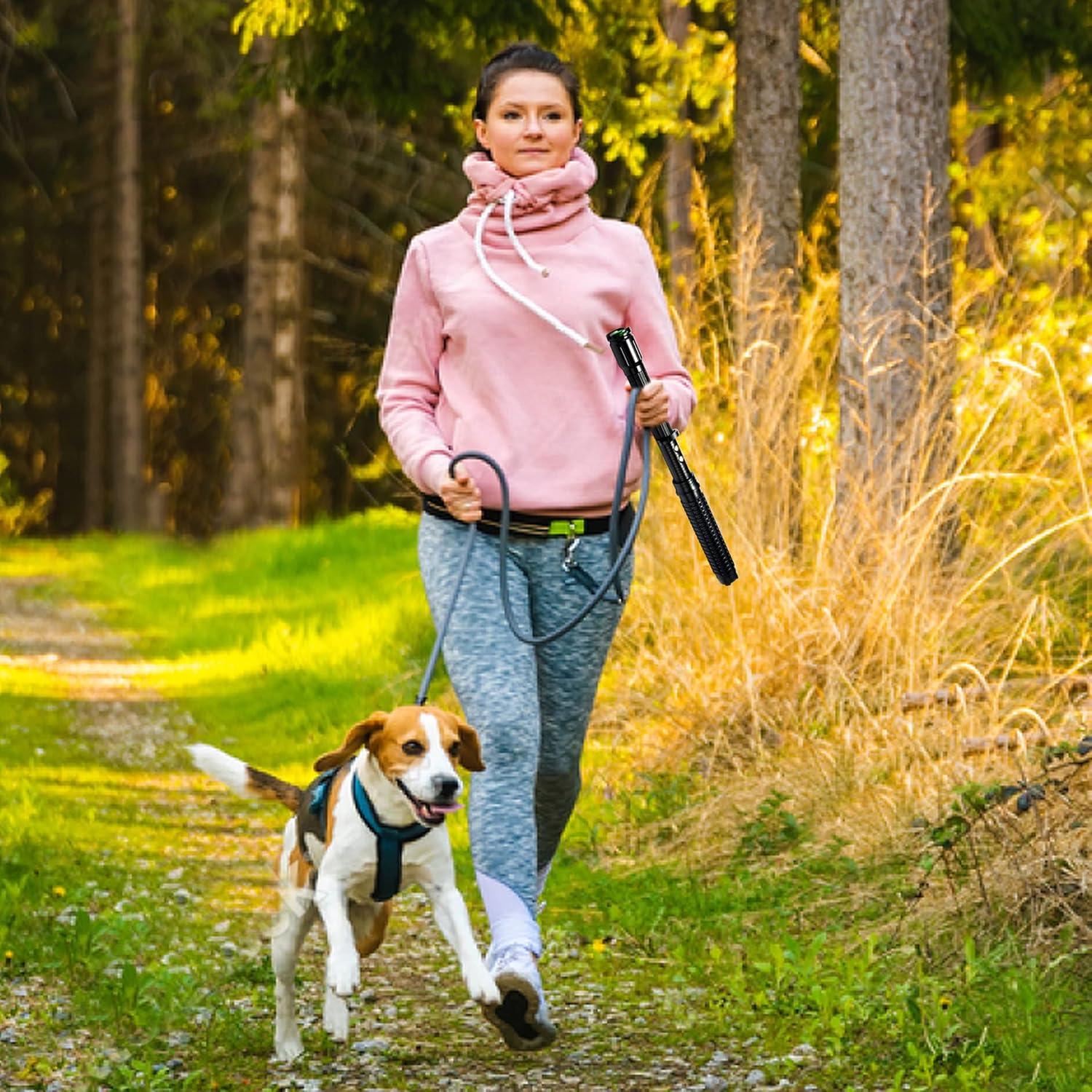 Linterna de Autodefensa Recargable LEFAN 41.91-48.01 cm