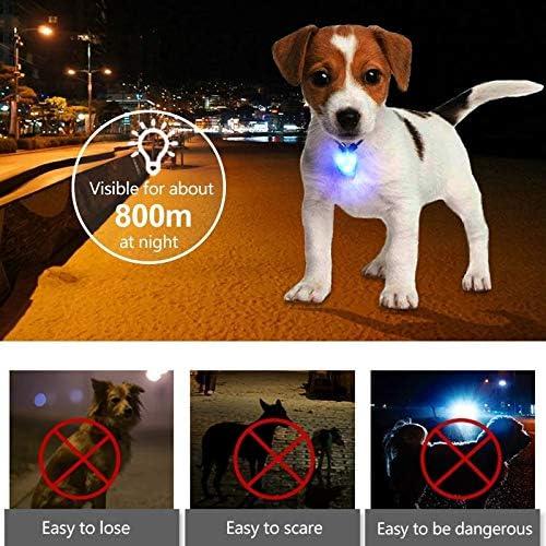 Collar LED para perros Avando - 5 colores, a prueba de agua
