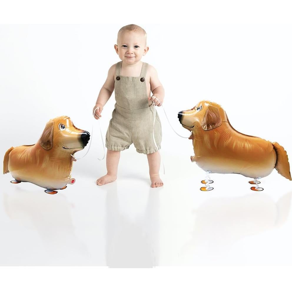 Globos de Perro Caminante Hokilands - 13 Patrones 4D