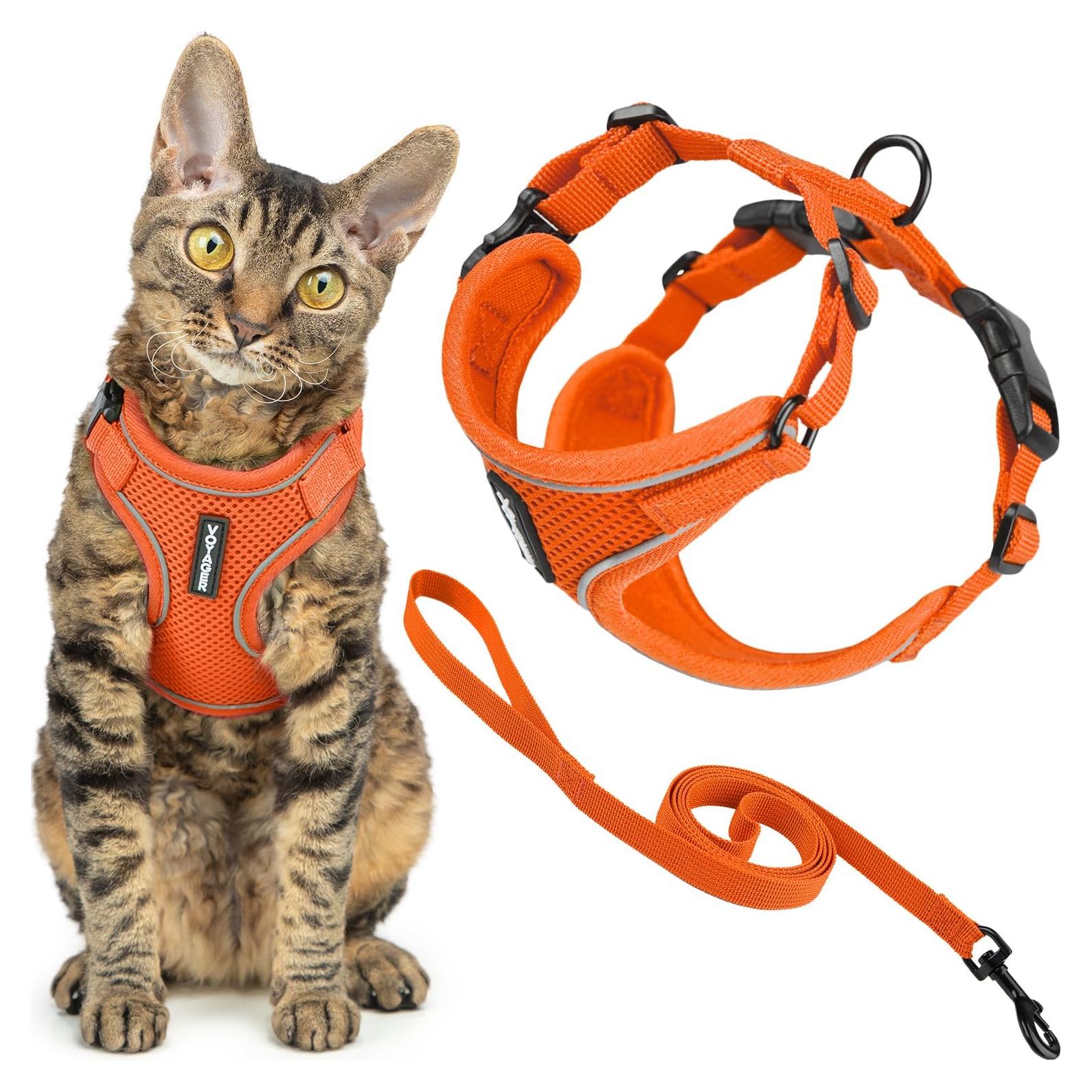 Arnés y Correa para Gato Voyager Best Pet Supplies Naranja XXS