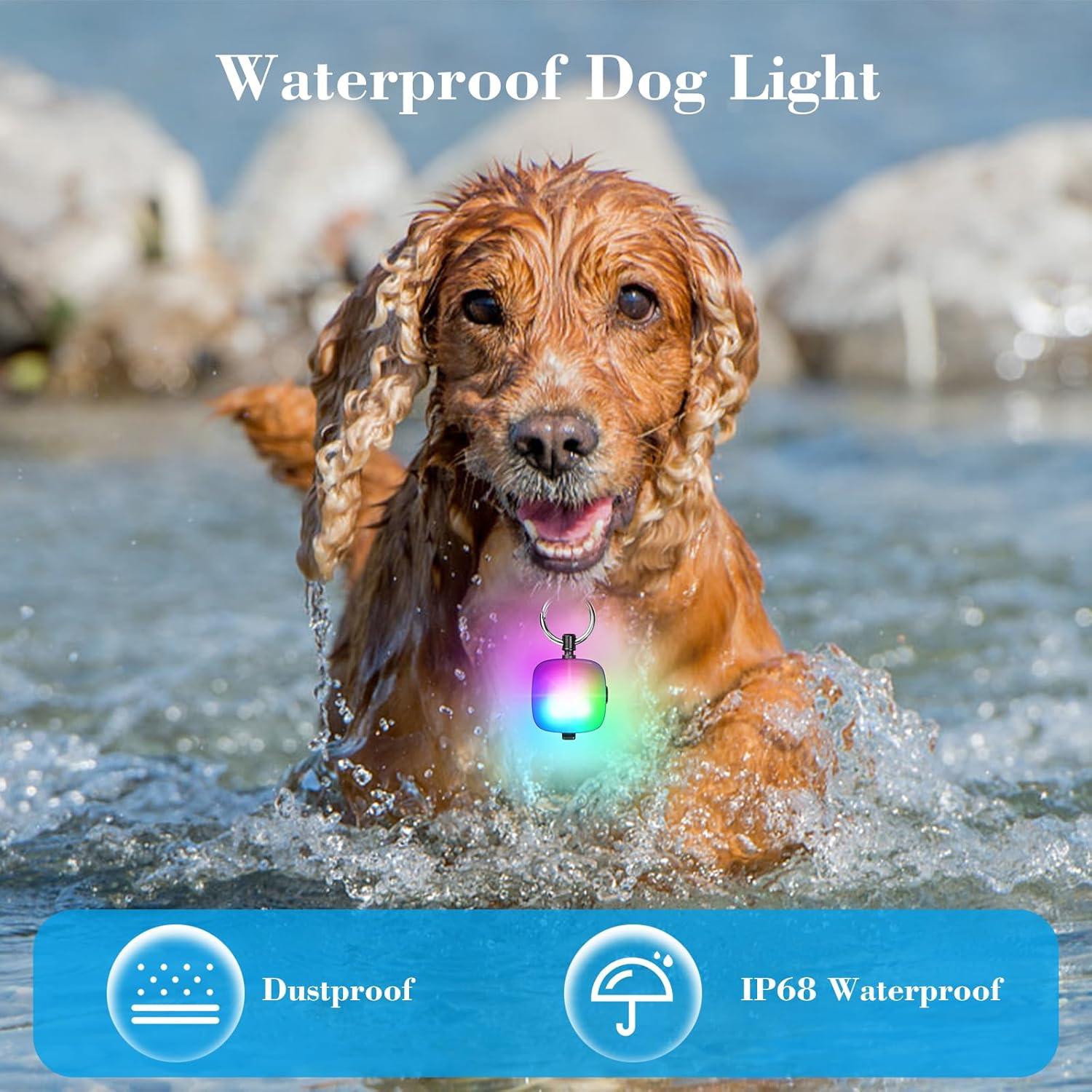 Luces LED Recargables para Collares de Perro JUFDS 2Pack