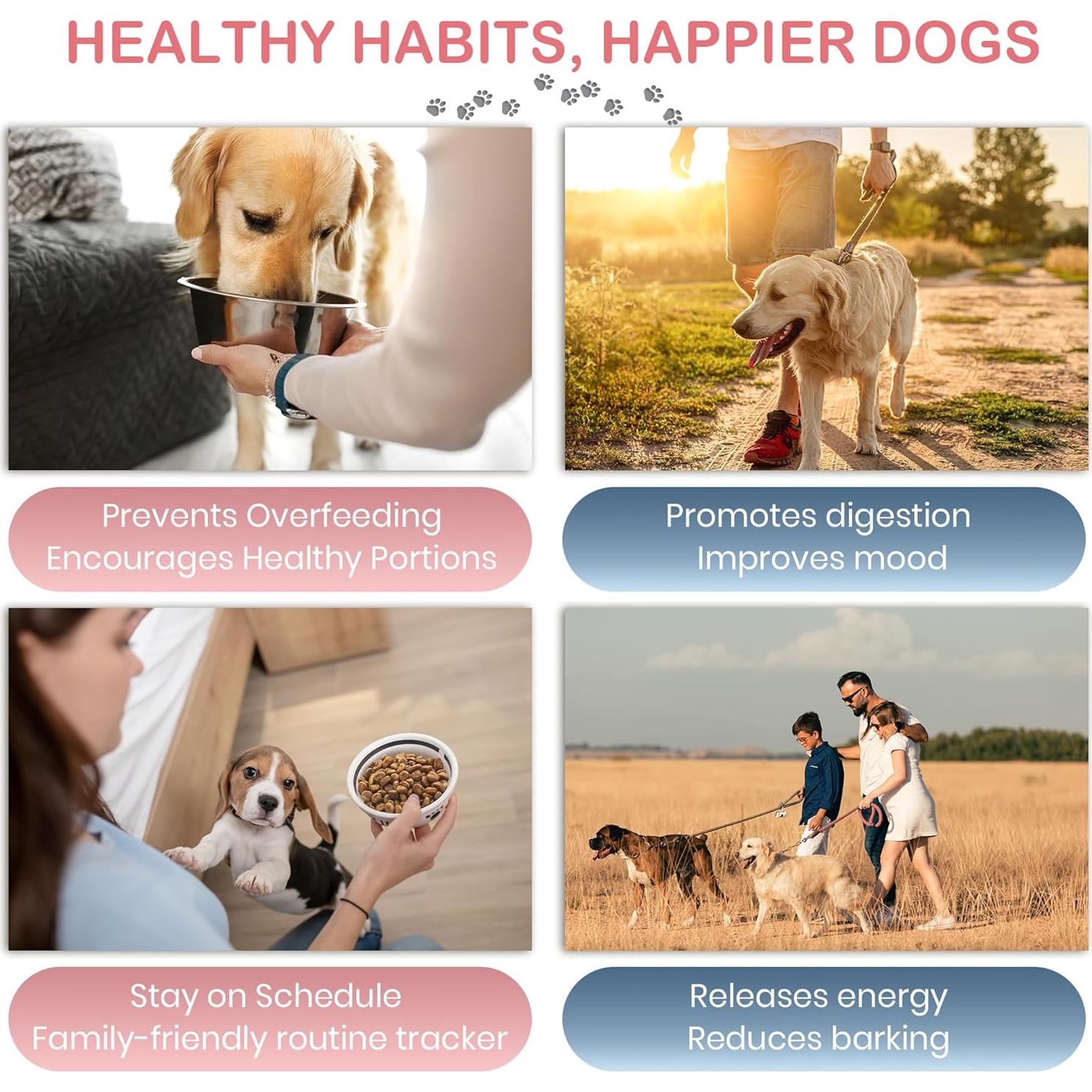 Recordatorio de Alimentación para Perros EliteSign 19.2x14cm