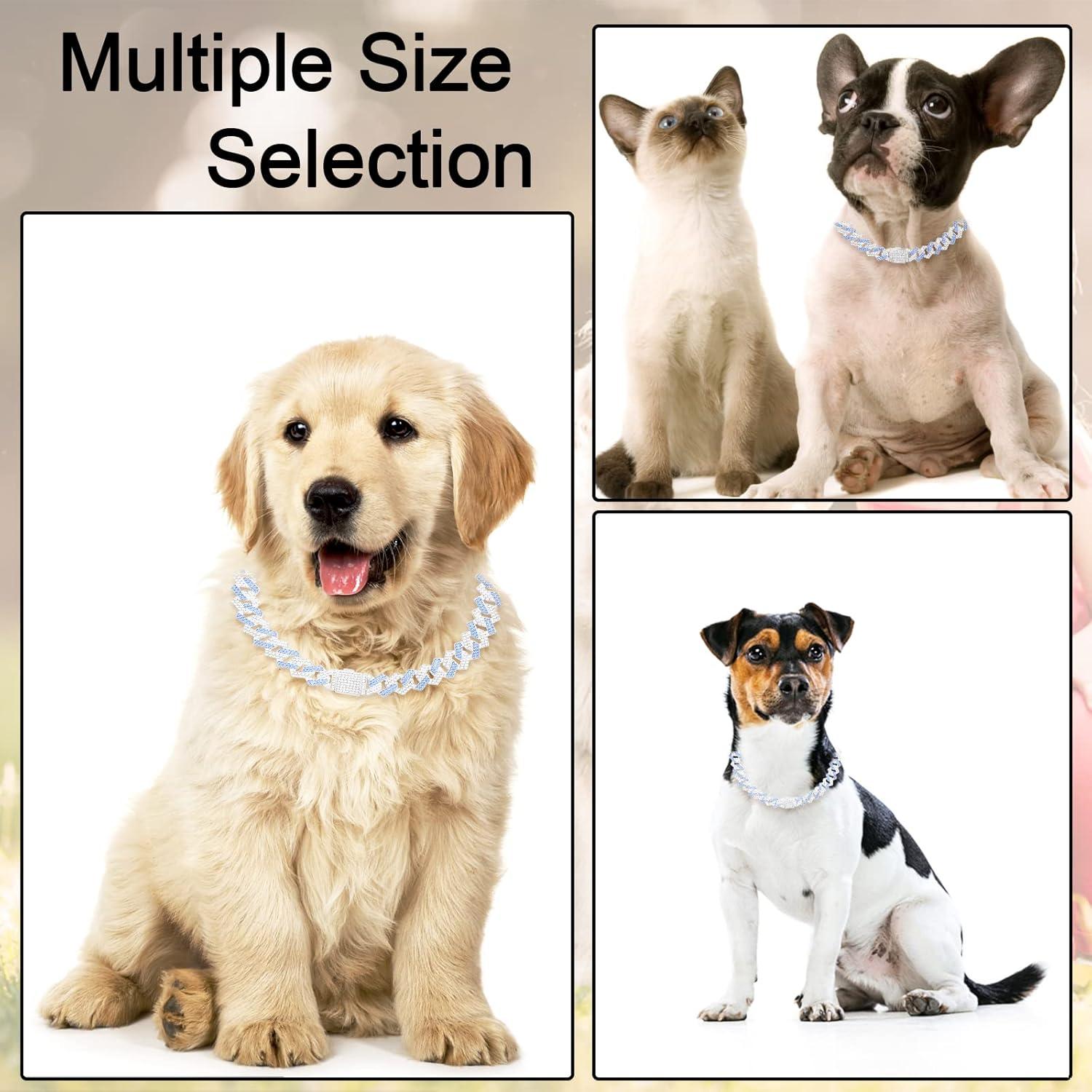 Collar de Cadena para Perros KOLODOGO 35.56 cm Azul con Brillo