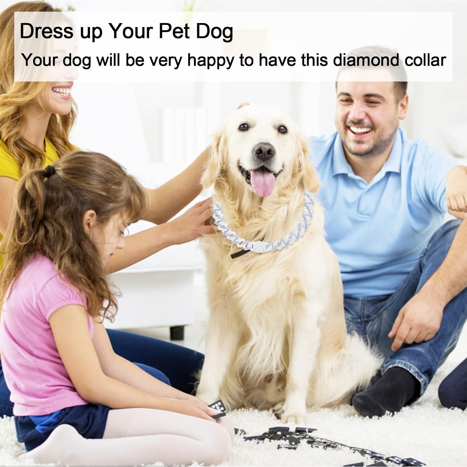 Collar de Cadena para Perros KOLODOGO 35.56 cm Azul con Brillo