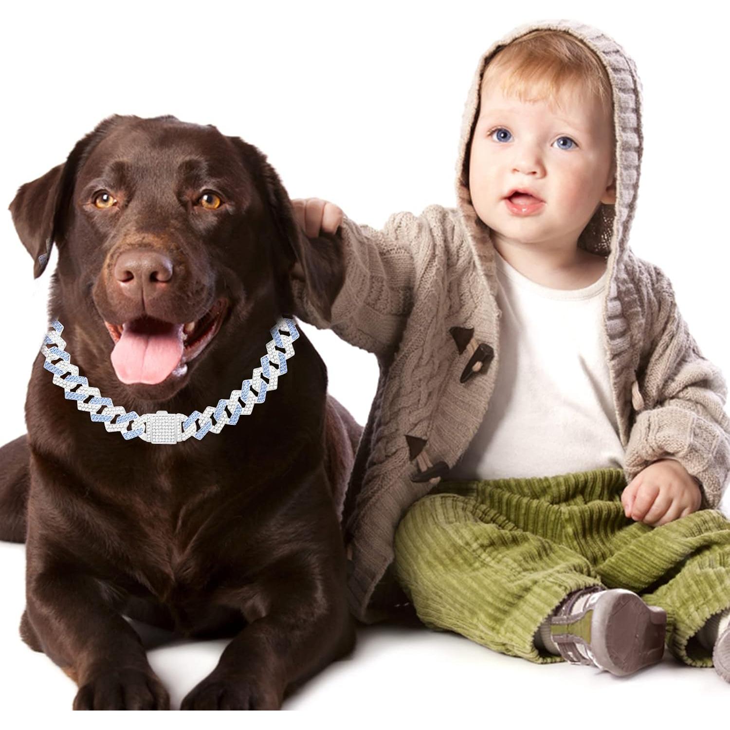 Collar de Cadena para Perros KOLODOGO 35.56 cm Azul con Brillo