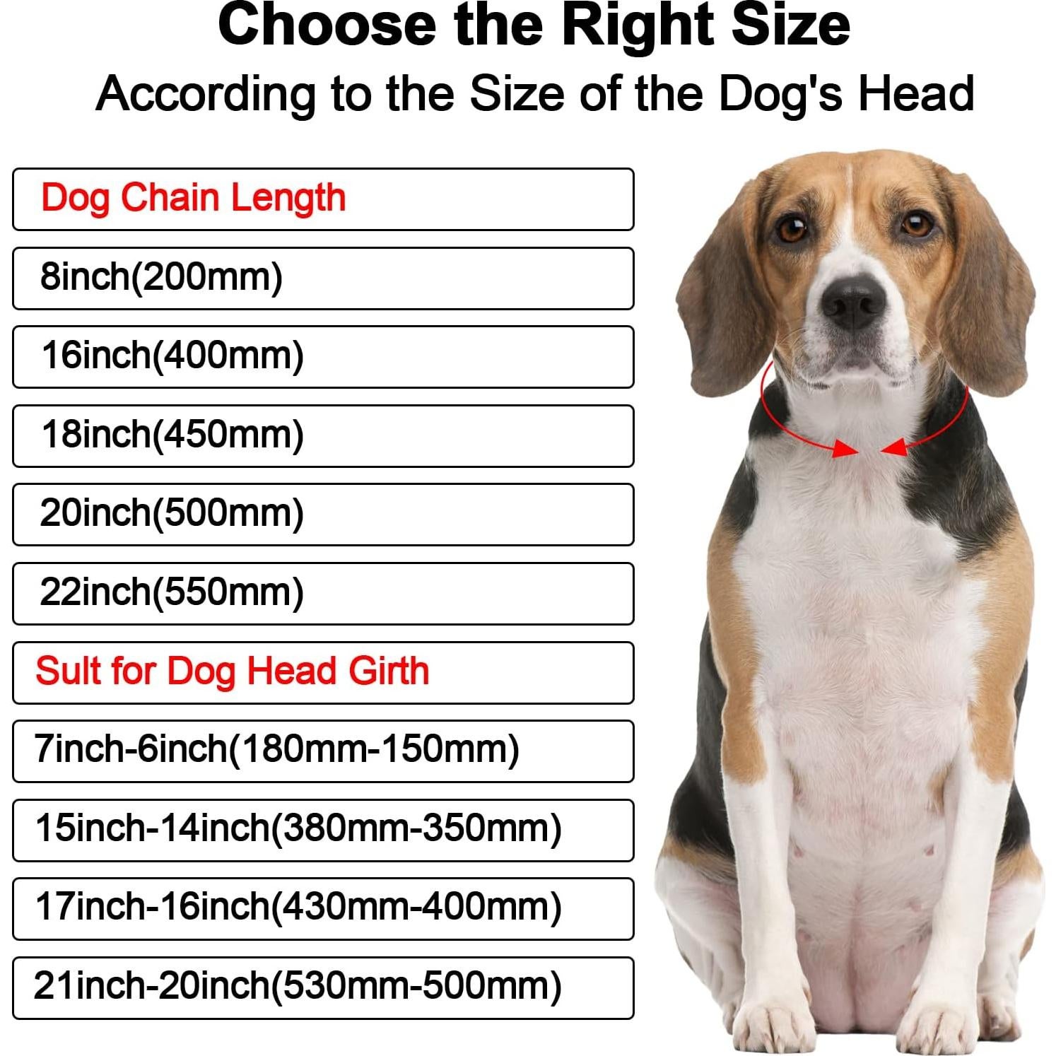 Collar de Cadena para Perros KOLODOGO 35.56 cm Azul con Brillo