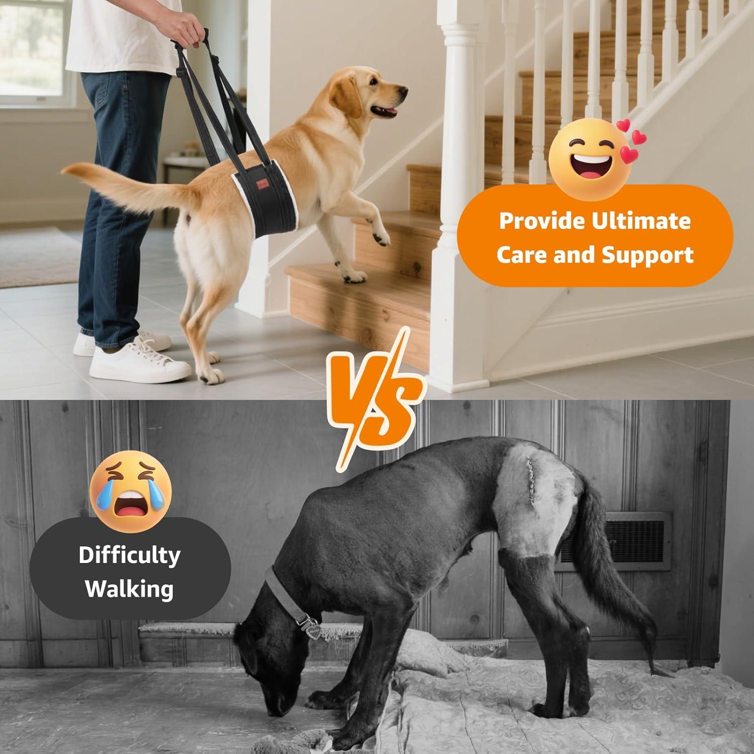 Sling Portátil para Perros Loobani - Arnés Soporte Cadera Grande