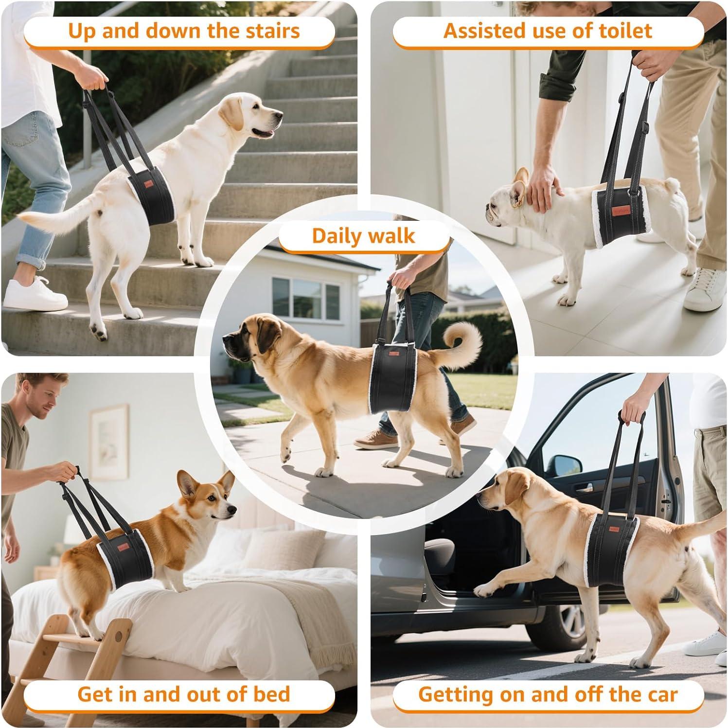 Sling Portátil para Perros Loobani - Arnés Soporte Cadera Grande