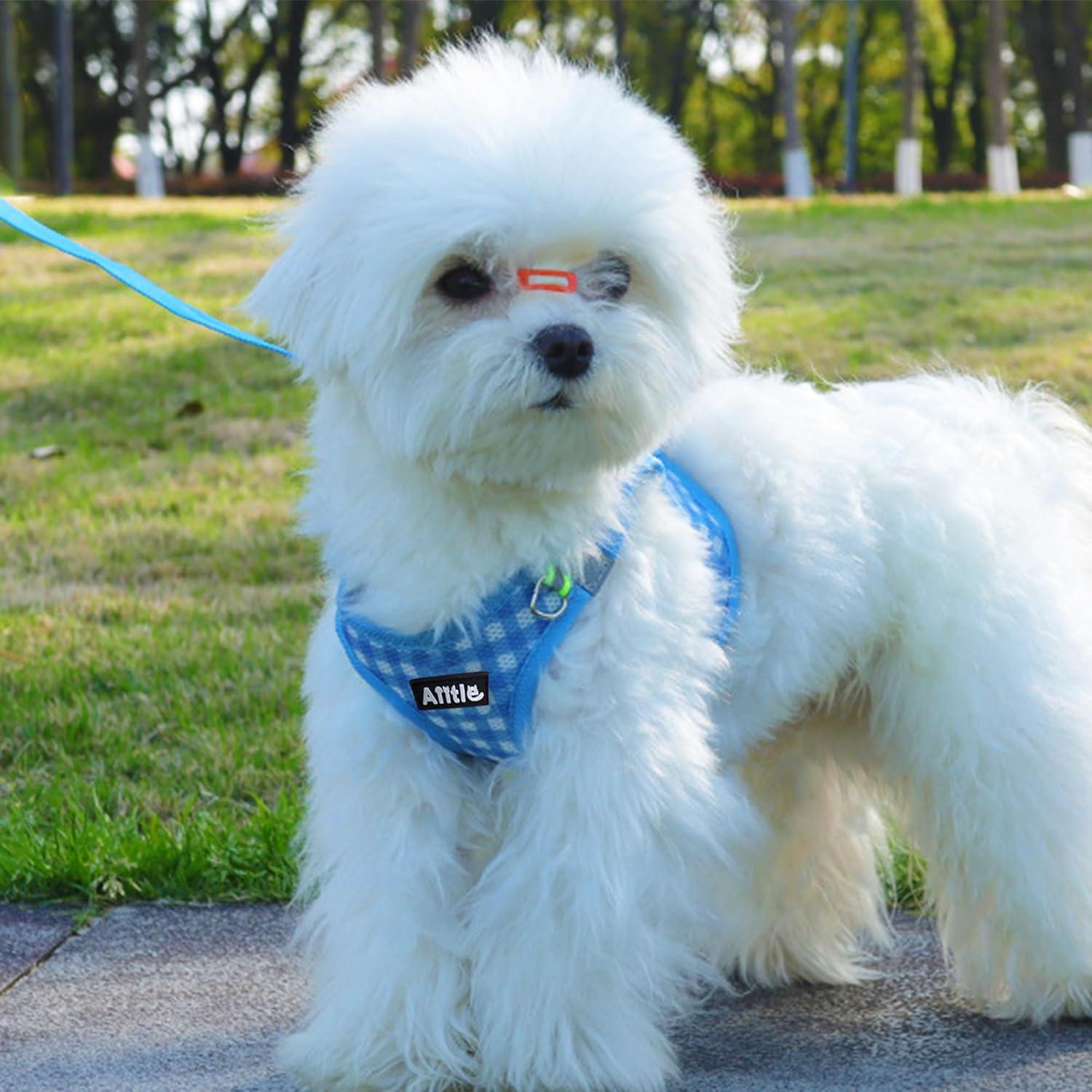 Arnés y Correa para Perros AIITLE Easy Walk Azul L