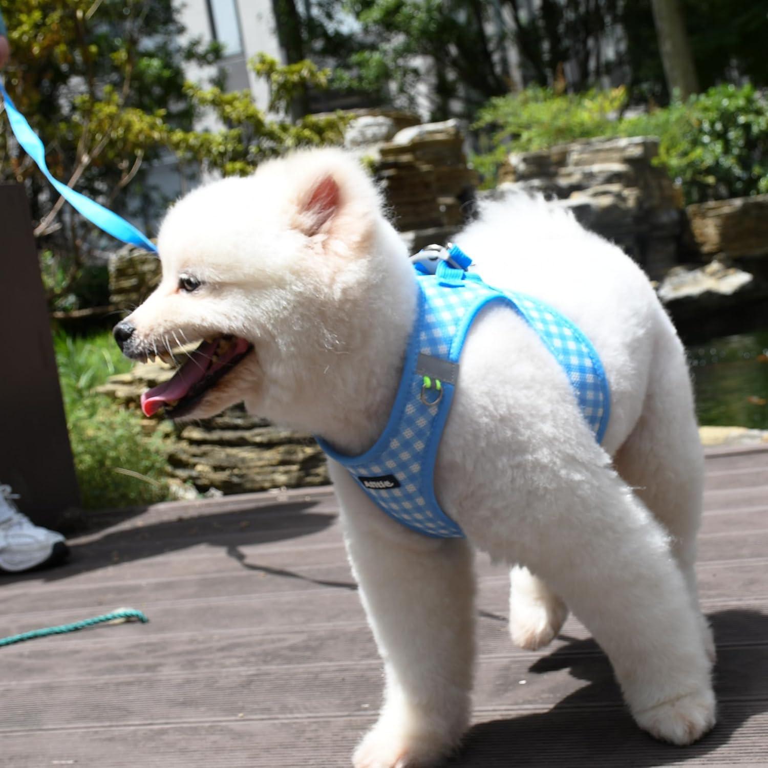 Arnés y Correa para Perros AIITLE Easy Walk Azul L