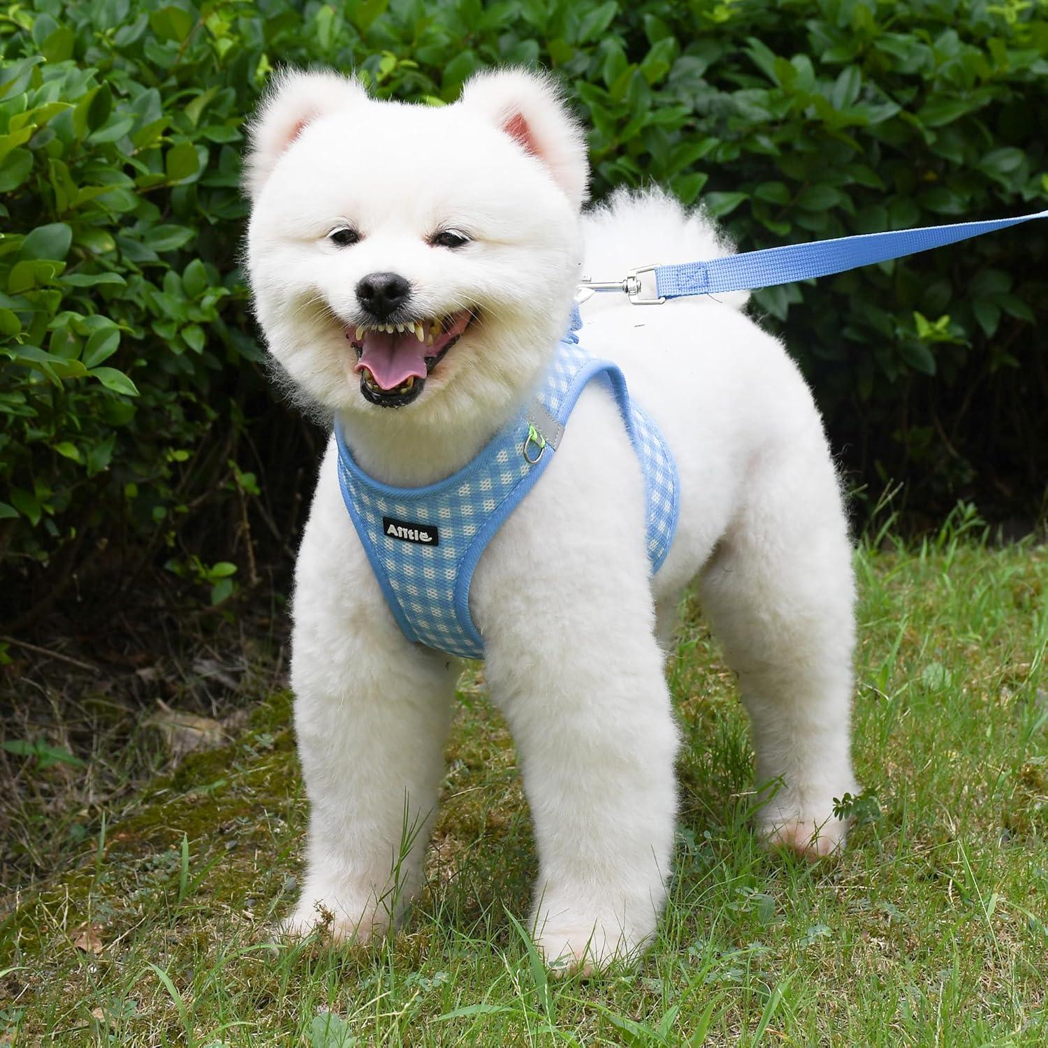 Arnés y Correa para Perros AIITLE Easy Walk Azul L