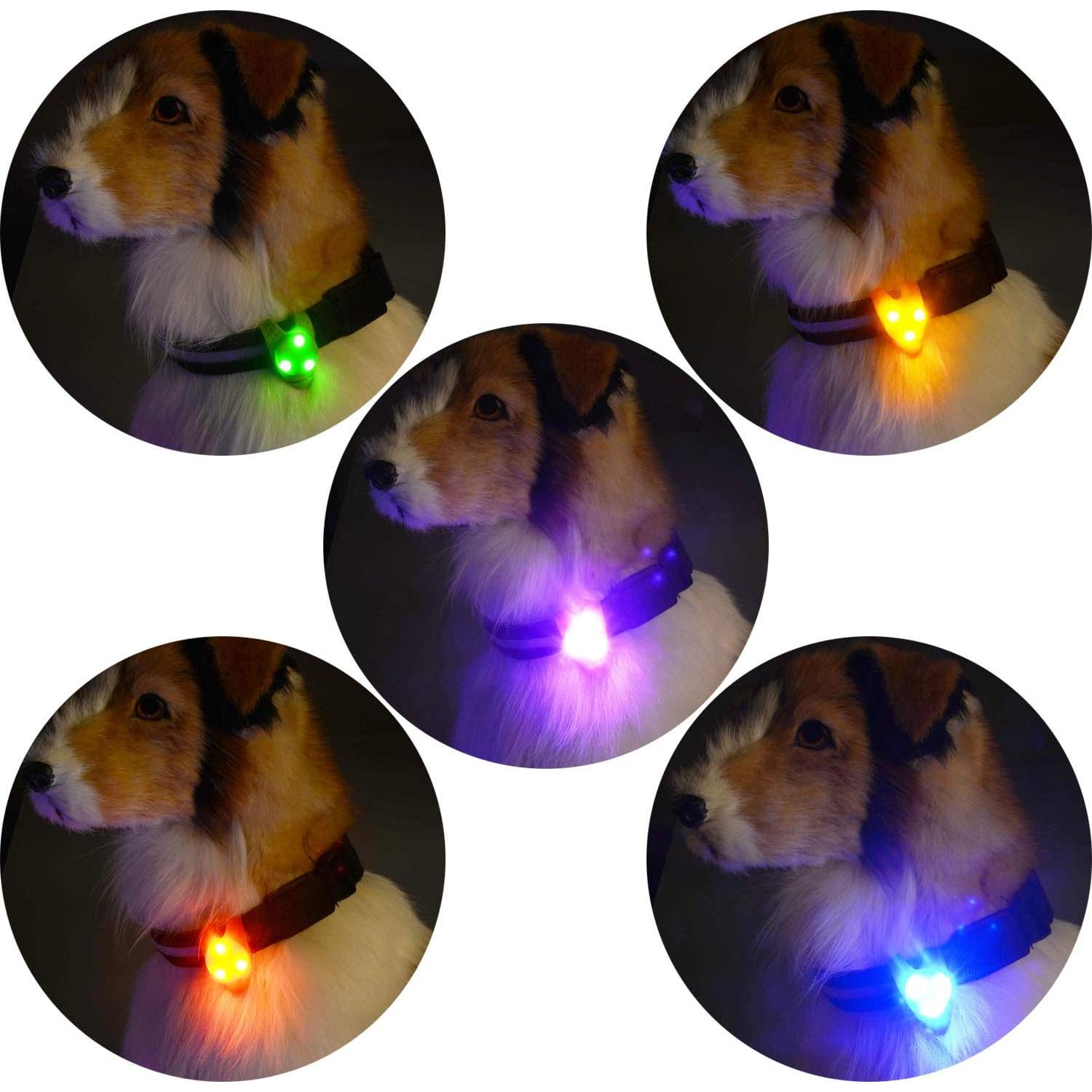 Luz LED de Collar para Perro FYLARFLY-TECH DC-131S 5 Piezas