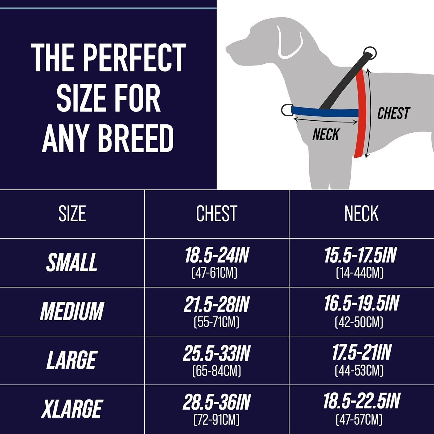 Arnés para Perros Leash Boss No Pull Pequeño Azul Olas