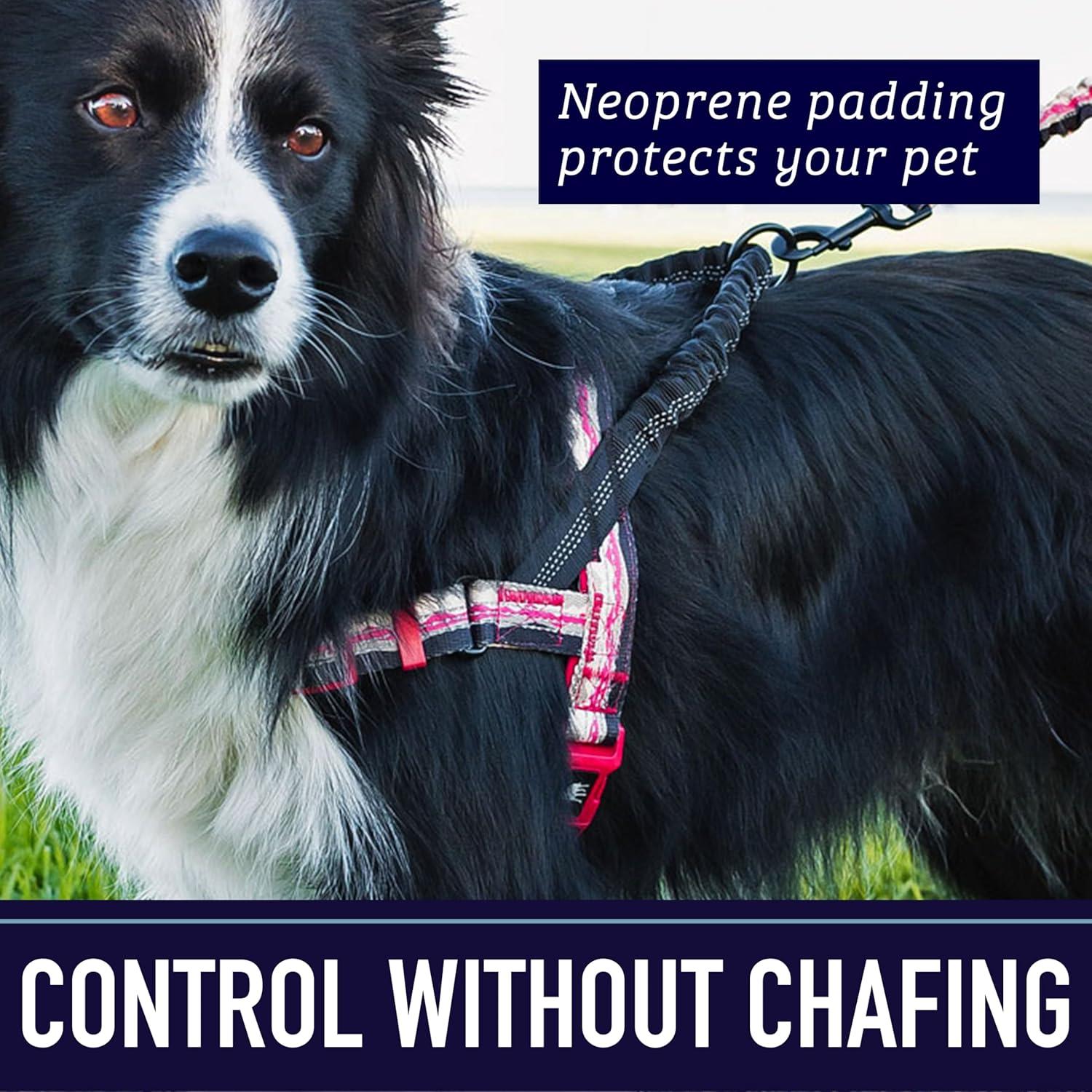 Arnés para Perros Leash Boss No Pull Pequeño Azul Olas