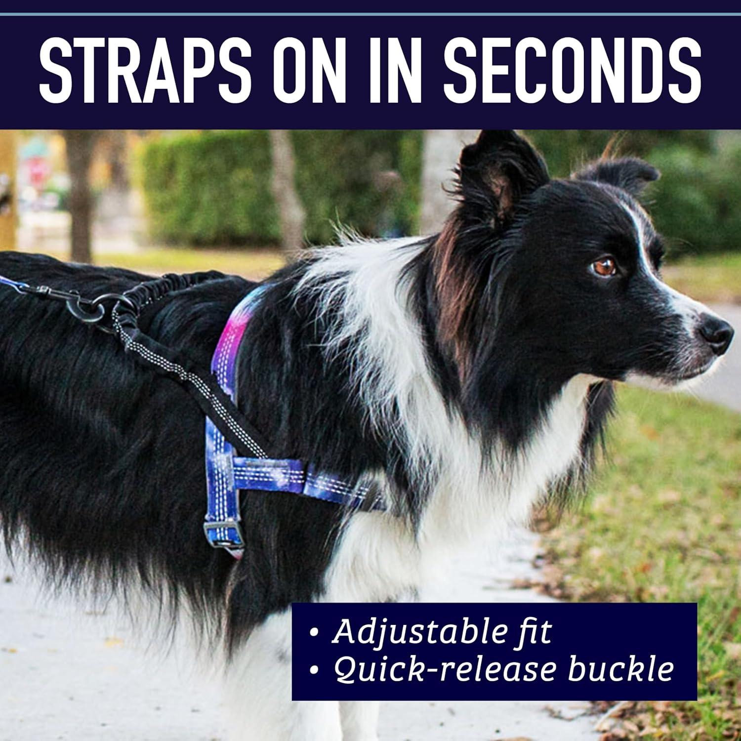 Arnés para Perros Leash Boss No Pull Pequeño Azul Olas