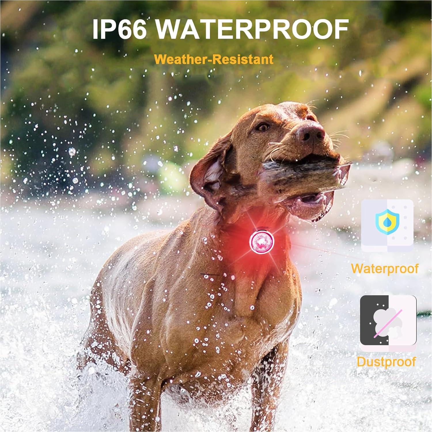 Luces LED para perros Tubasion - Paquete de 2, recargables, IPX6