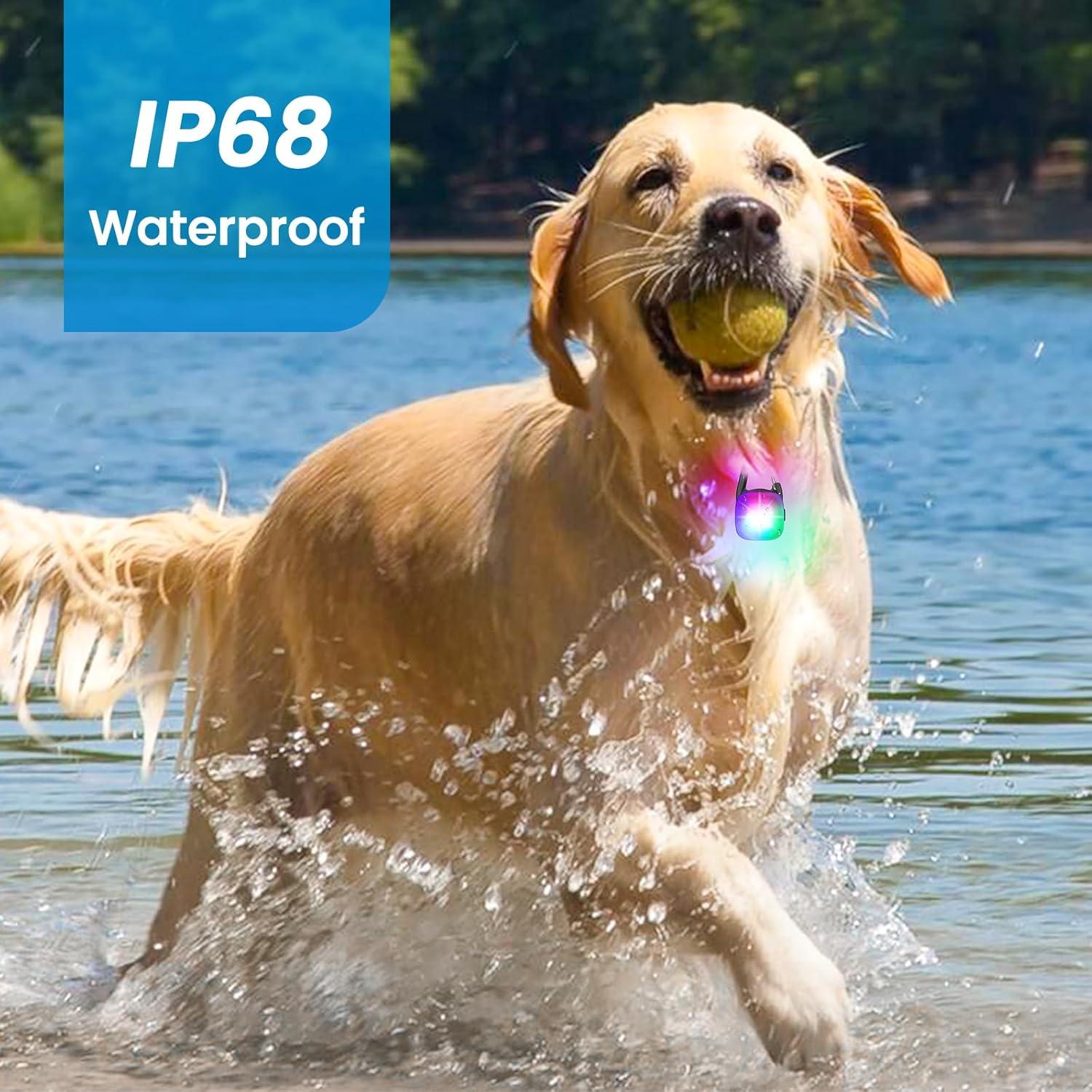 Luces LED para Perros PUPKOLI, Recargables e Impermeables IP68