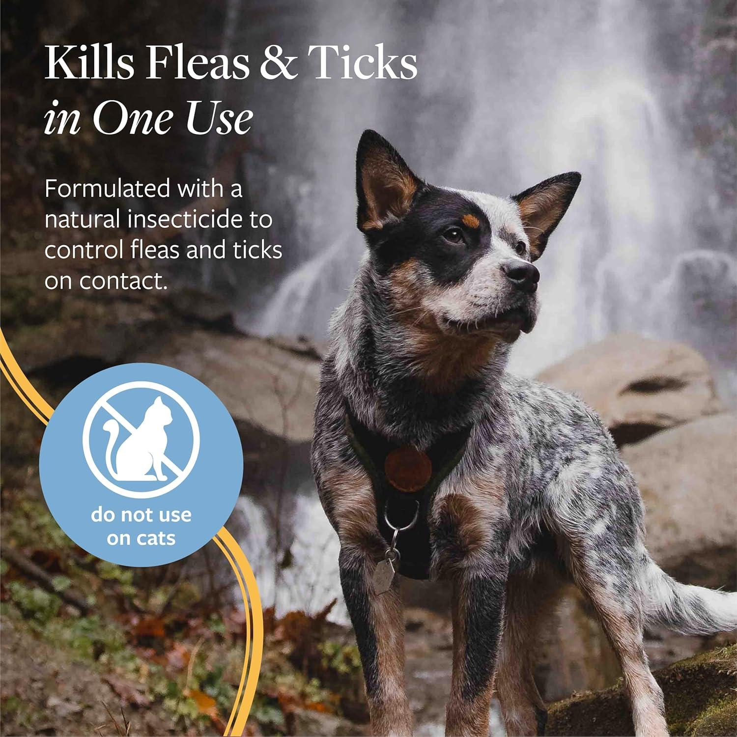 Spray para Pulgas y Garrapatas Veterinary Formula 226 g - Efectivo y Seguro