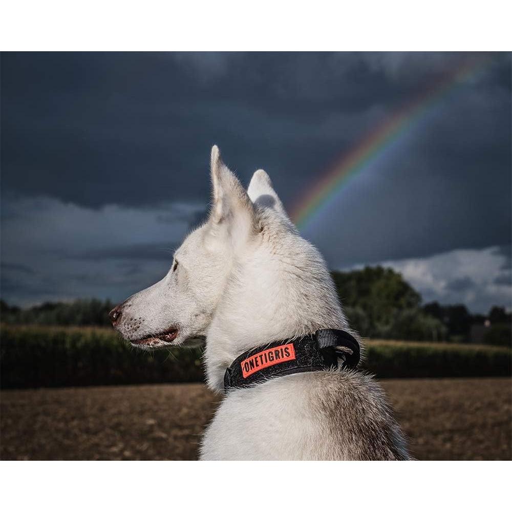 Collar Táctico para Perros OneTigris Negro Ajustable S