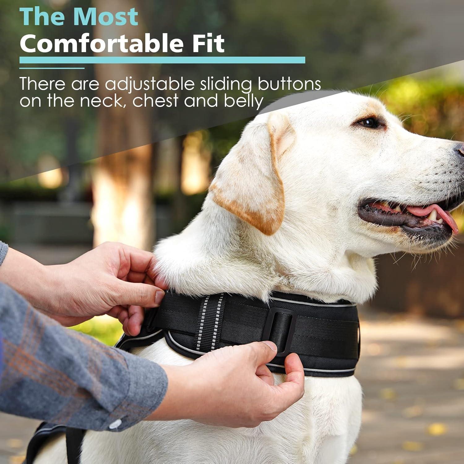 Arnés Táctico para Perros Bolux XL Negro con 7 Parches