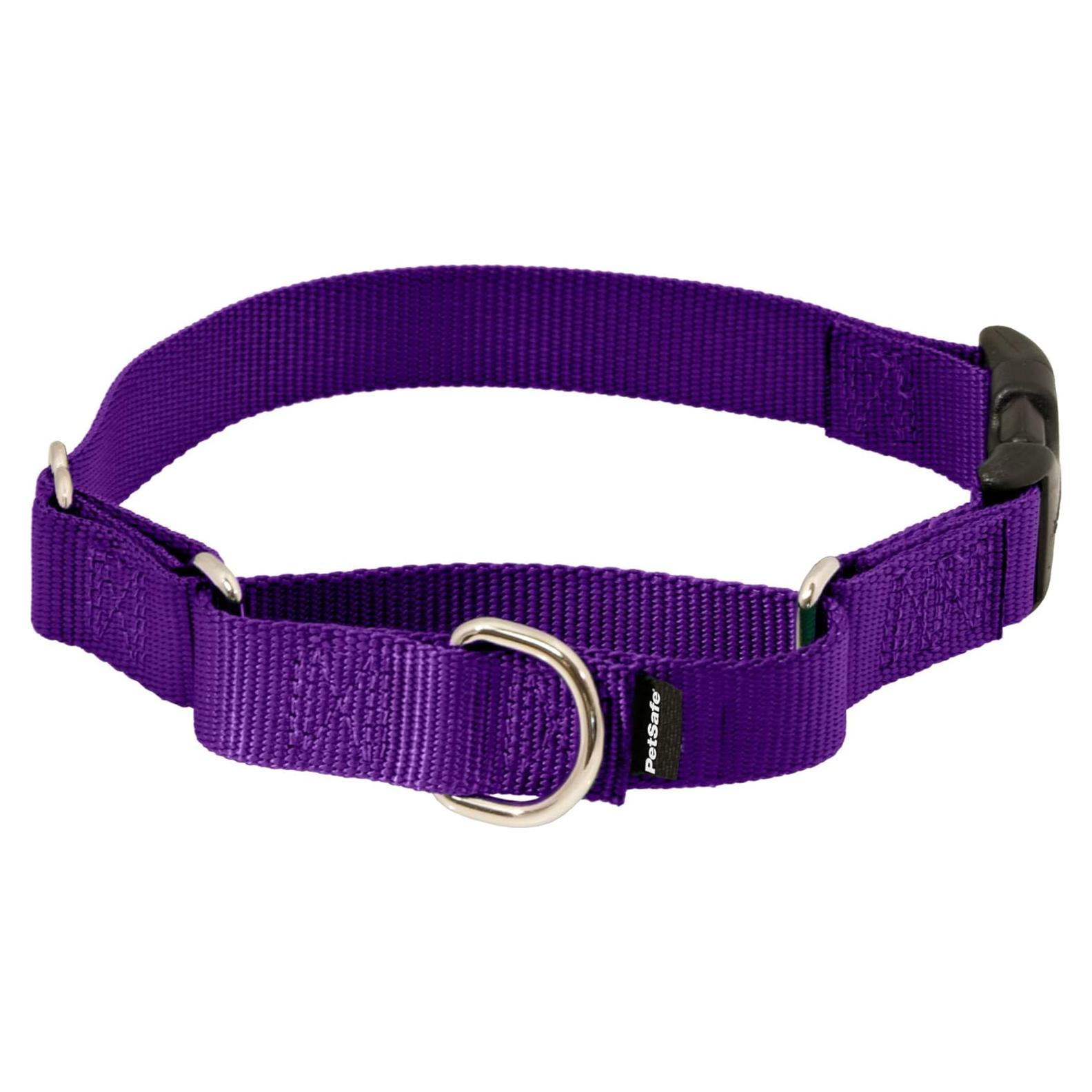 Collar Martingale PetSafe con Hebilla Rápido Desenganche 0.95 cm