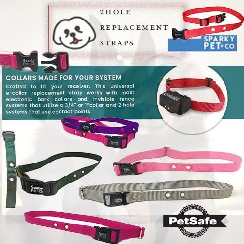 Correa de Nylon Ajustable Sparky Pet Co 3/4" Verde Azulado