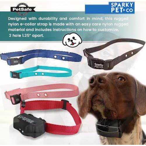 Correa de Nylon Ajustable Sparky Pet Co 3/4" Verde Azulado