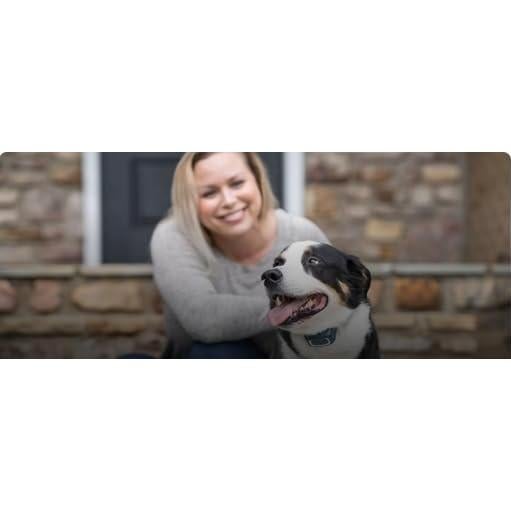 Correa de Nylon Ajustable Sparky Pet Co 3/4" Verde Azulado