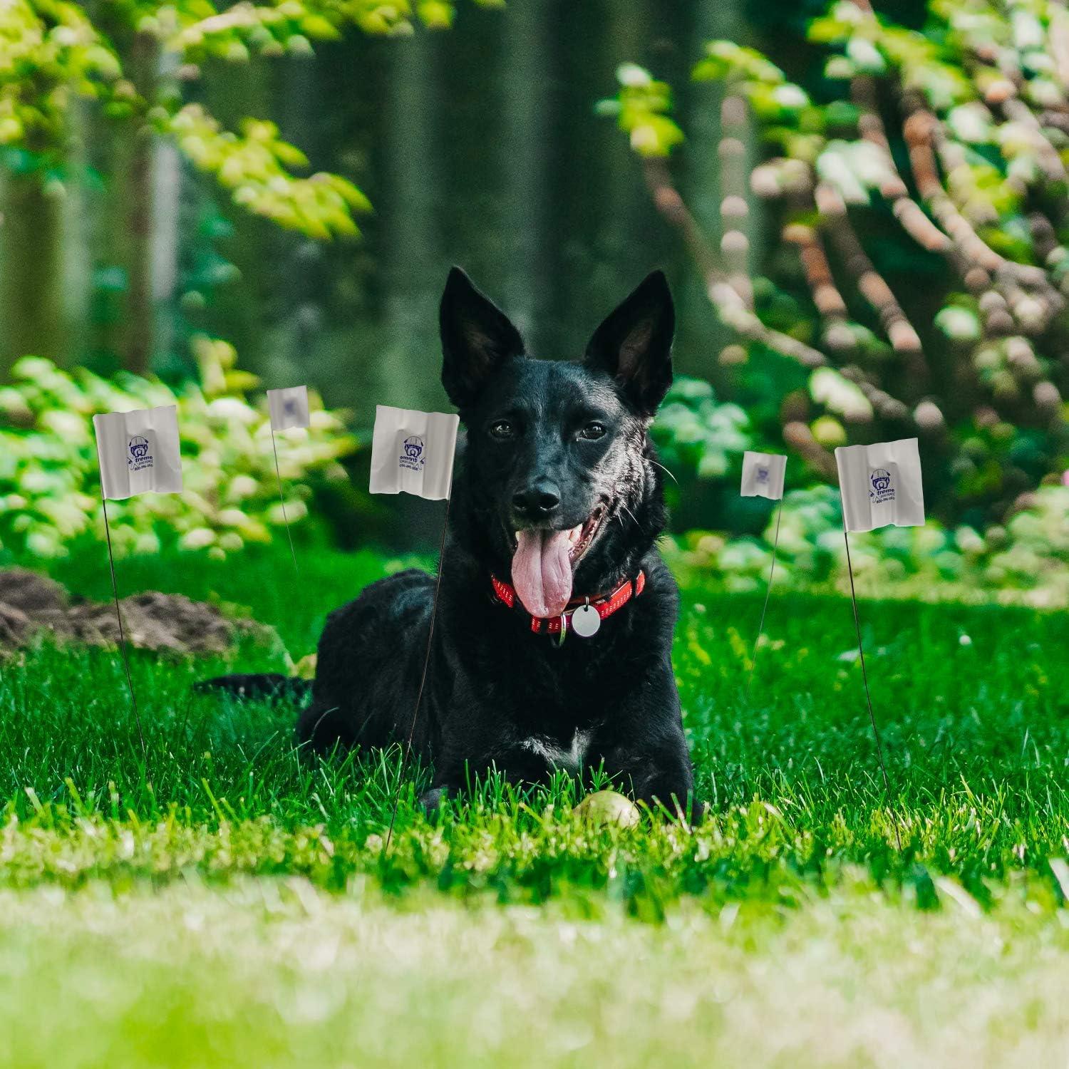 Batería de Reemplazo 6V PetSafe RFA-67 - Paquete de 2