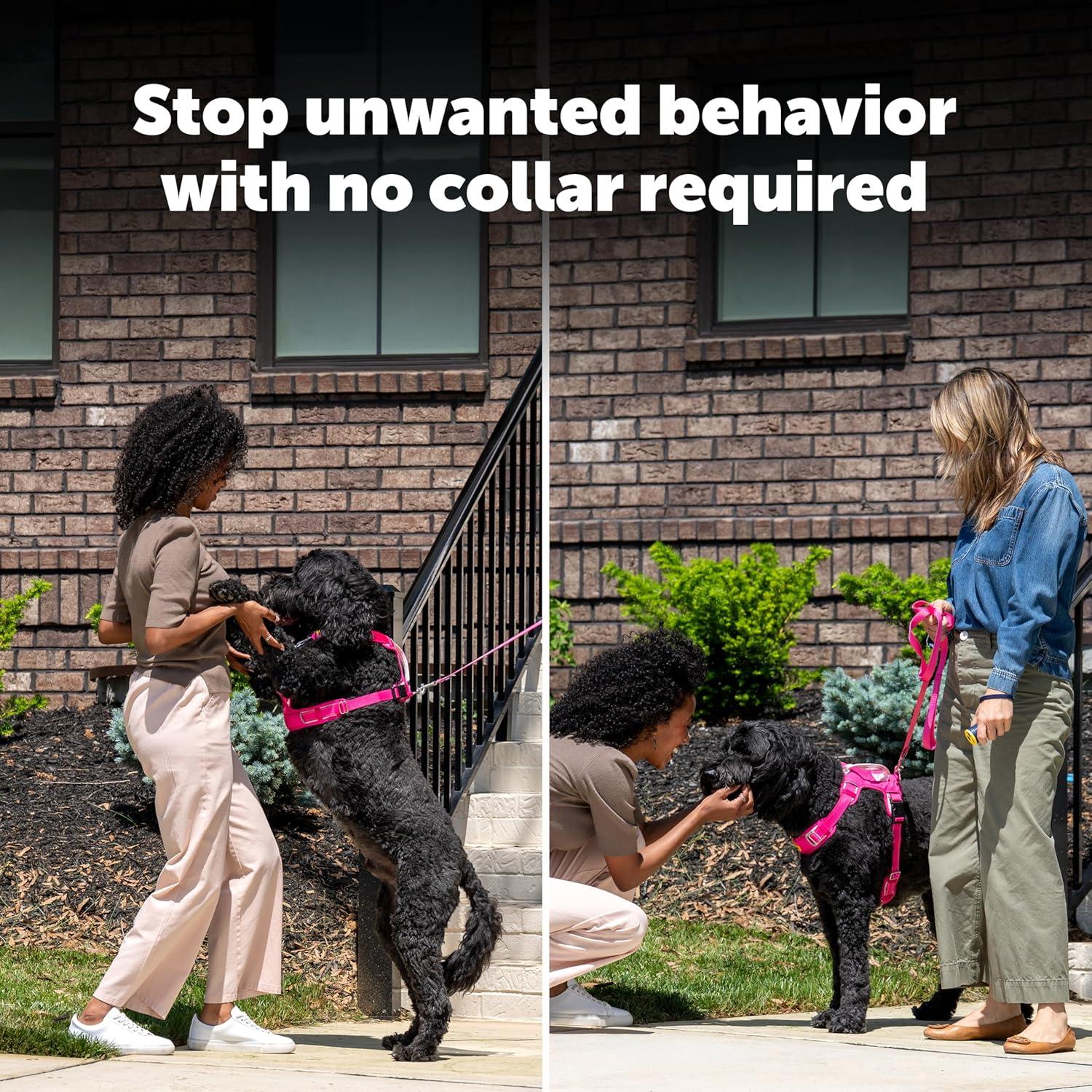 Entrenador Ultrasonico Sin Collar PetSafe - Dispositivo Antibark Portátil